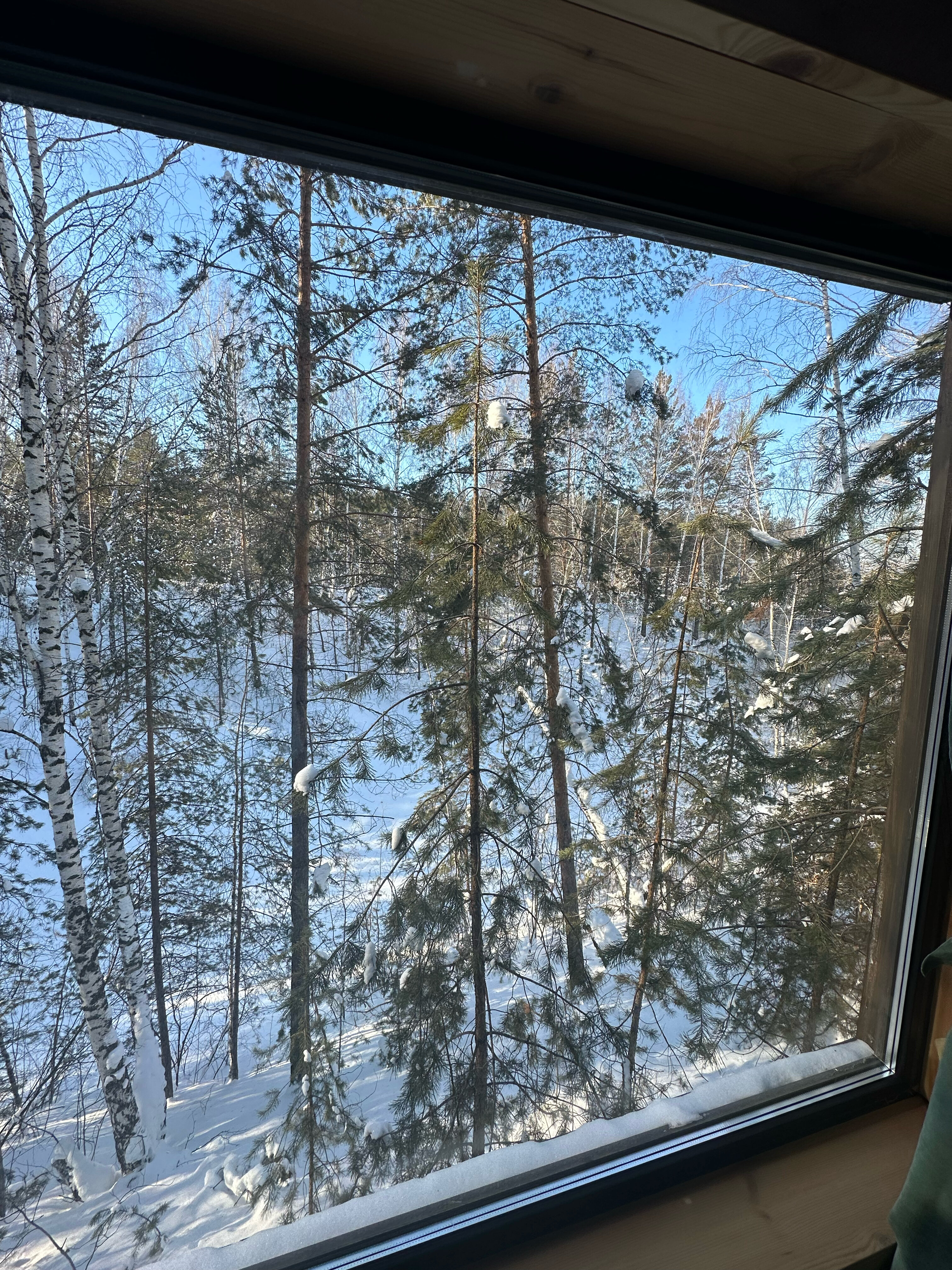 Фото Магия леса