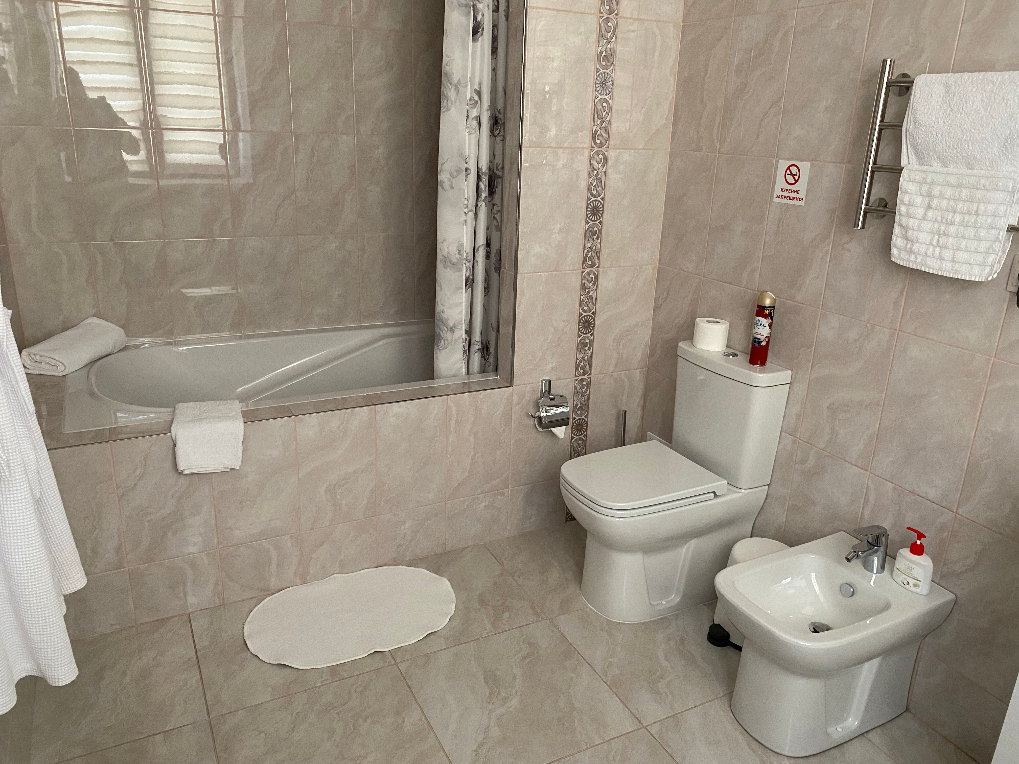 Фото Спутник