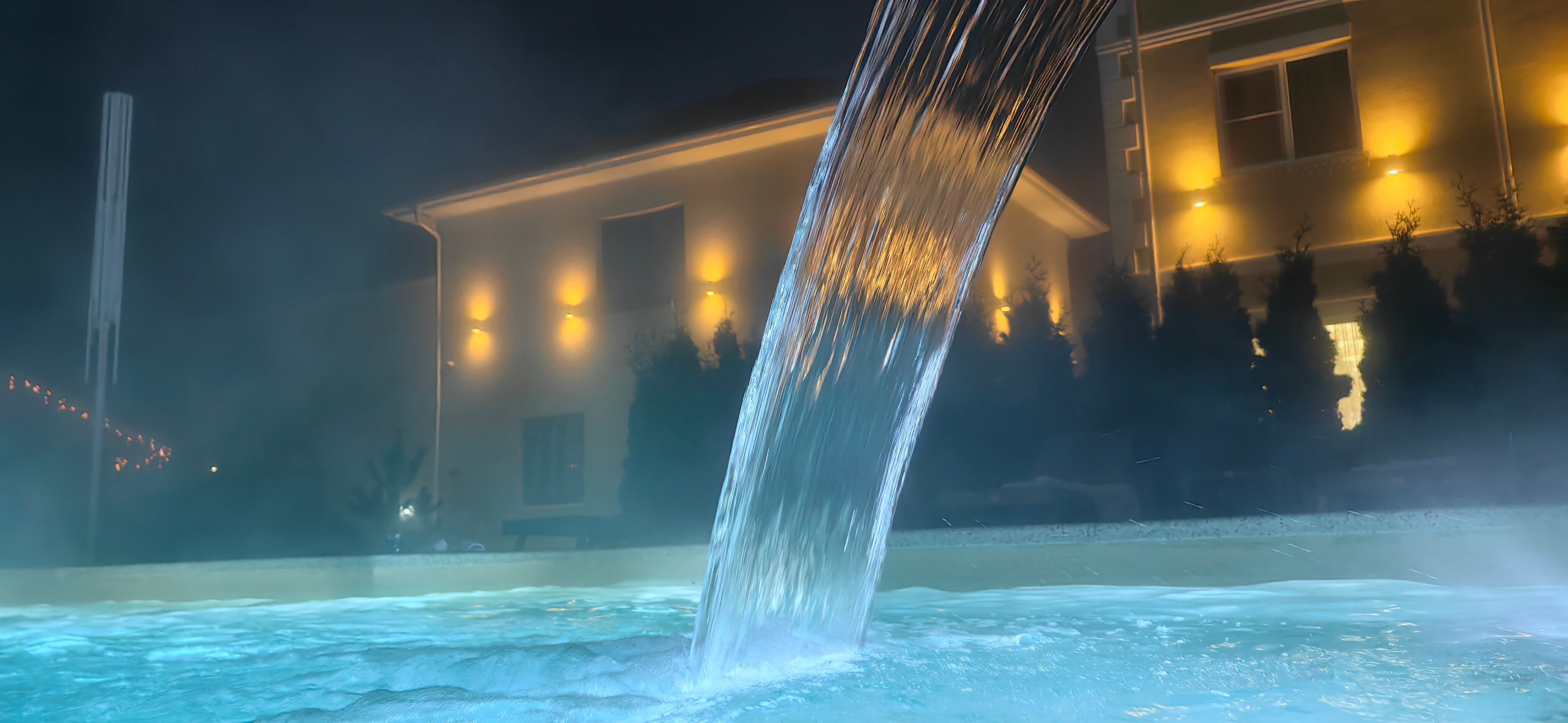 Фото Лаванда