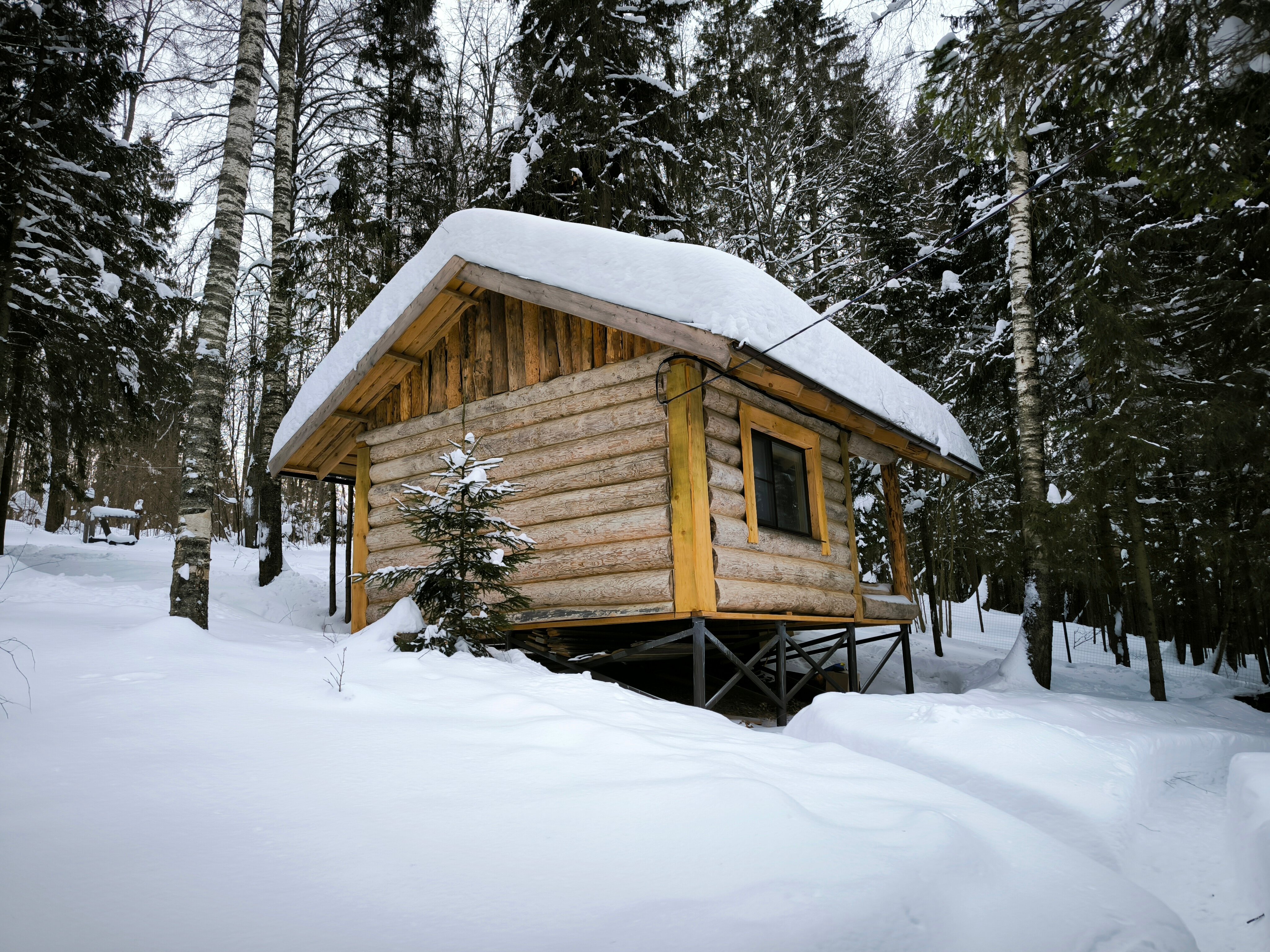 Фото У Лыжника