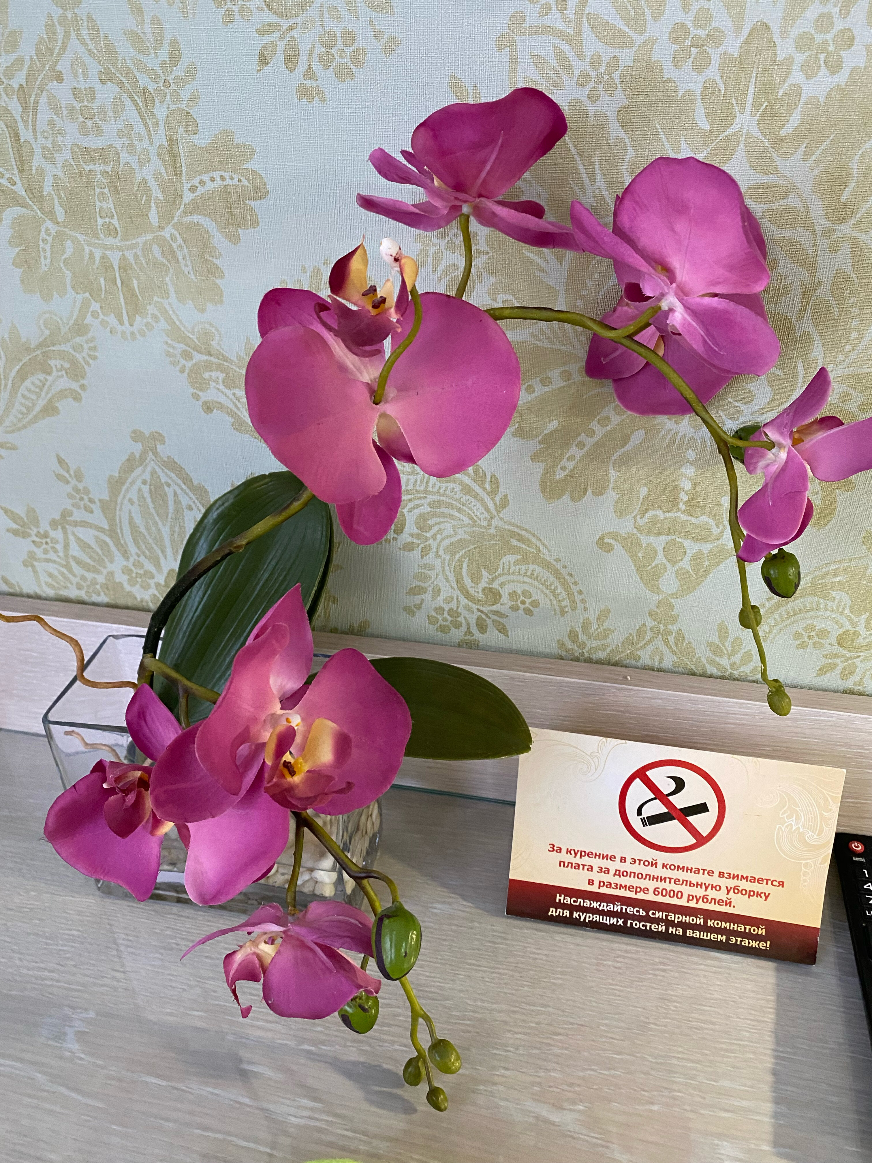 Фото Золотой слон