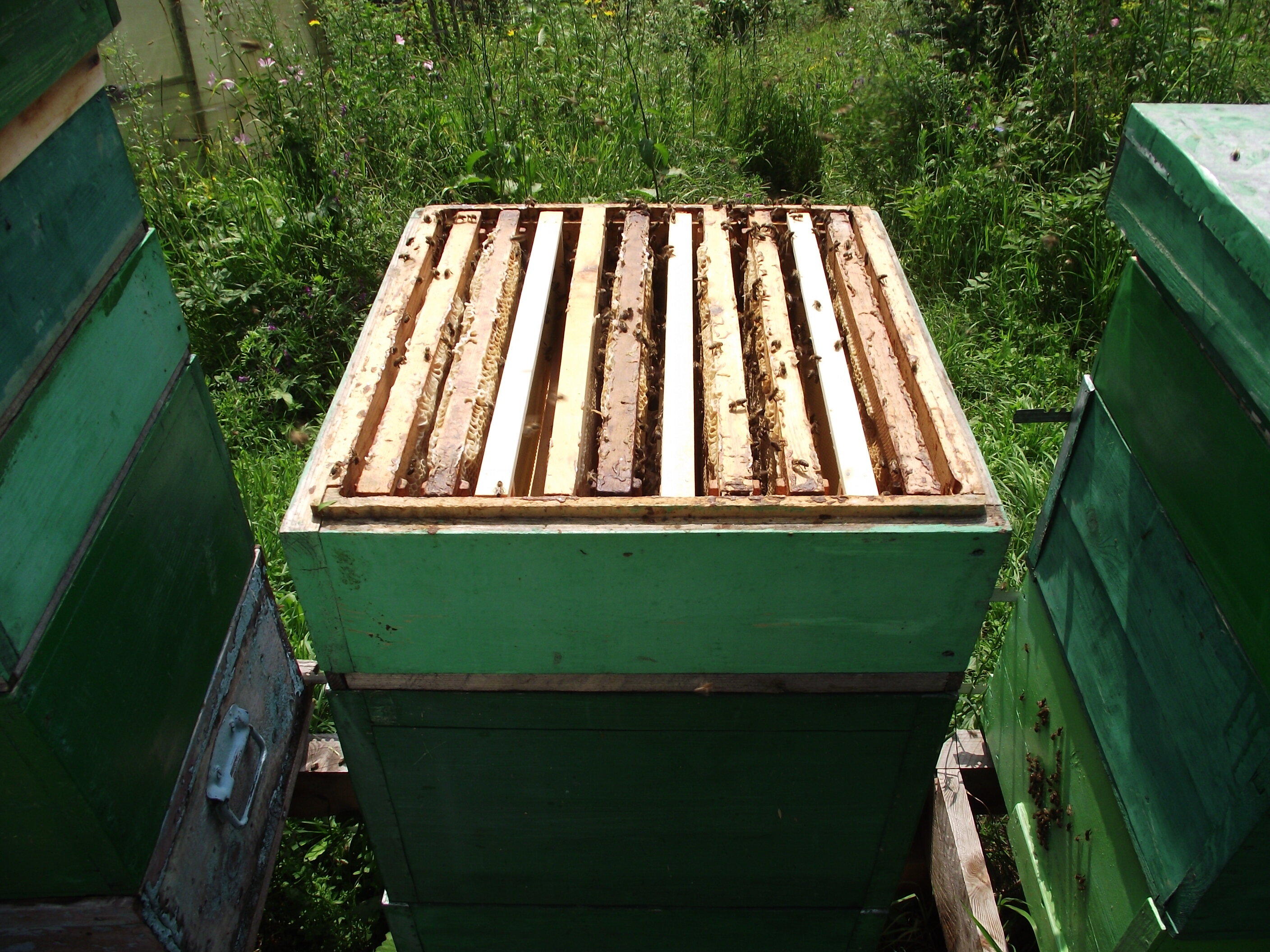 Фото Тихий Лог