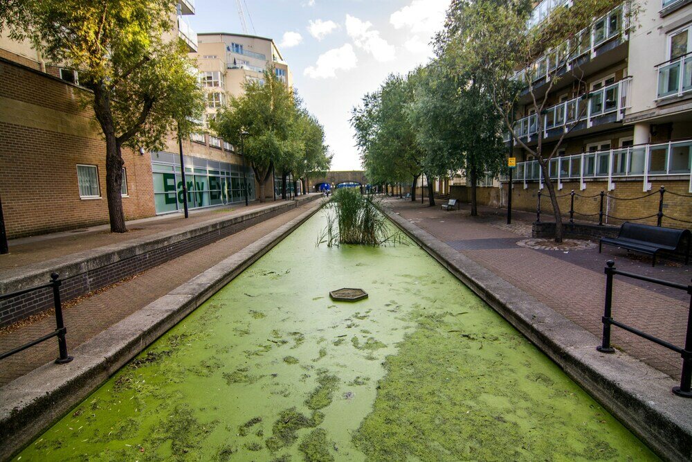 Фото Apartment Wharf – Water Gardens