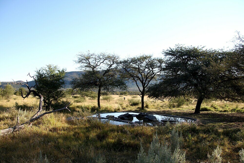 Фото Ghaub Nature Reserve & Farm