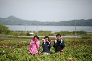 Гостиница Cocoreto The Guest House - Hostel