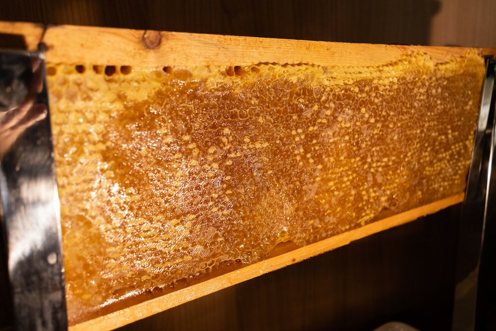 Фото Hilton Garden Inn Brussels City Centre