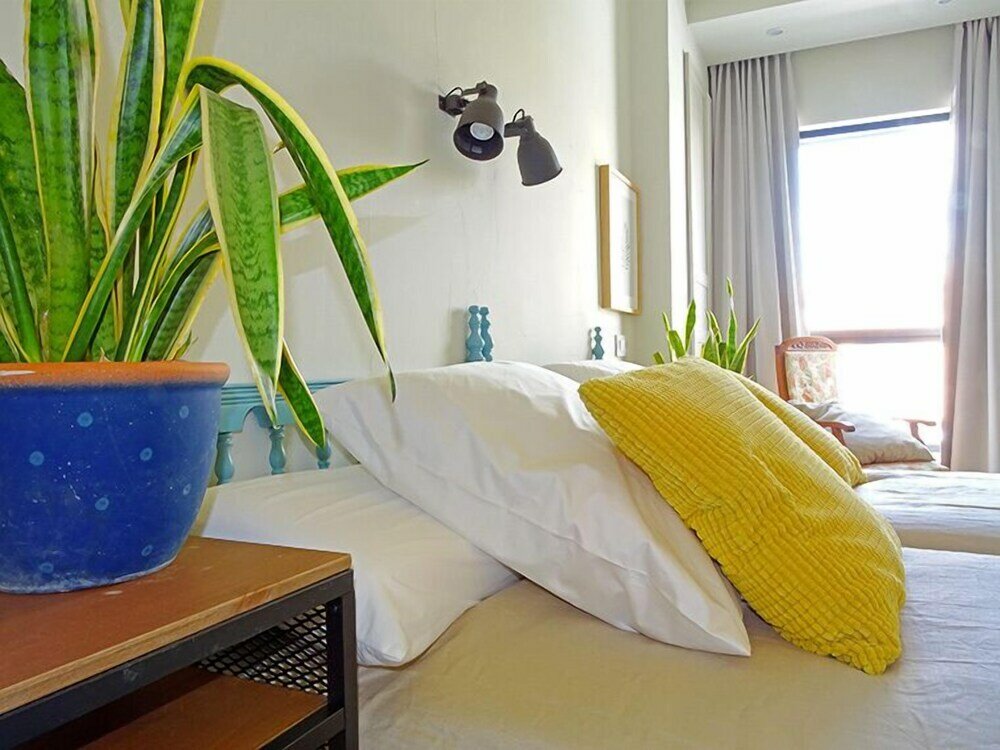 Фото Vicente Home