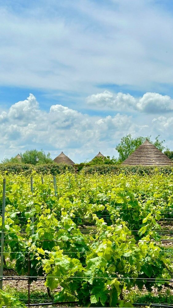 Фото Is Cheas wine farm boutique hotel