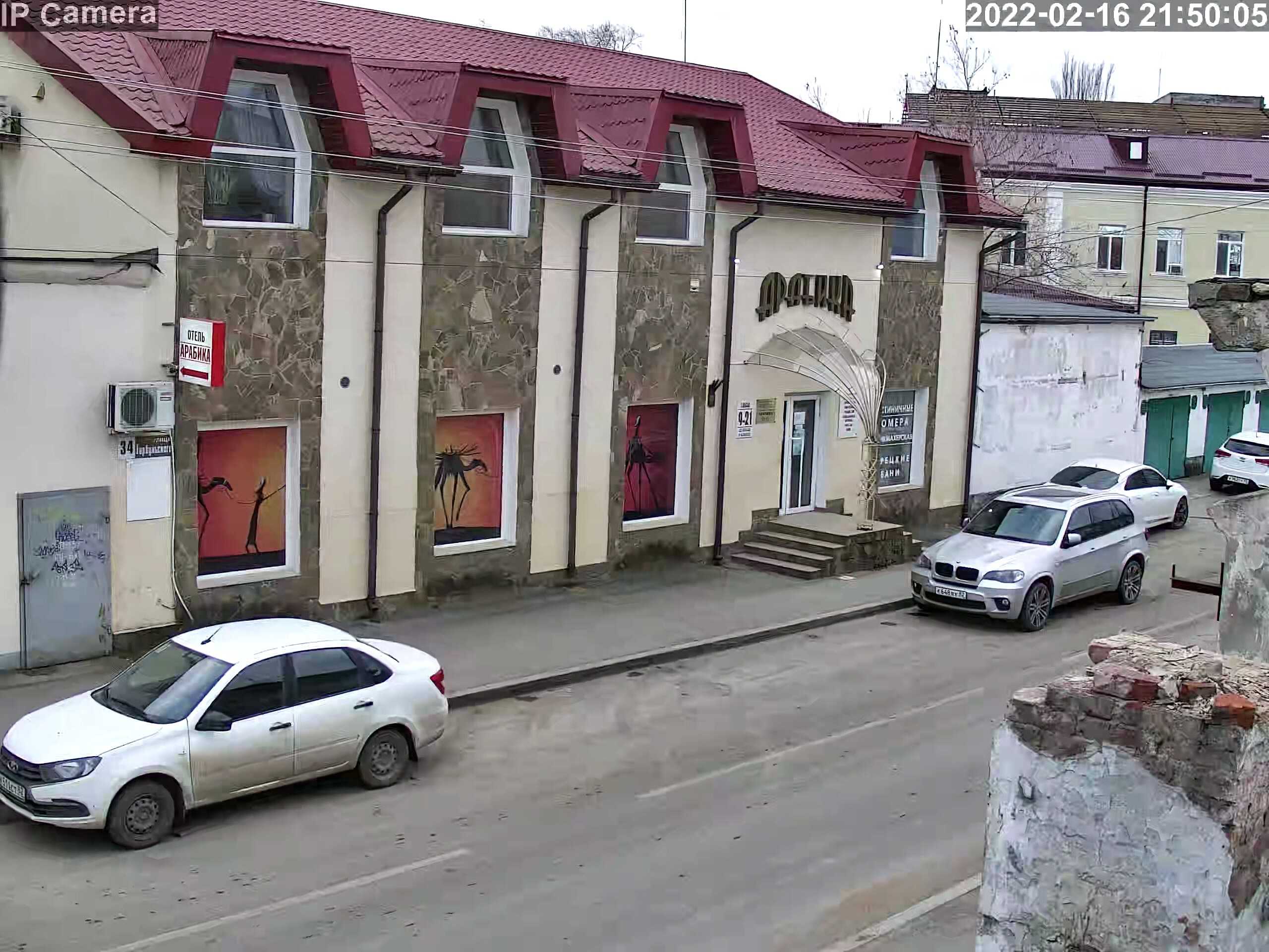 Фото Арабика