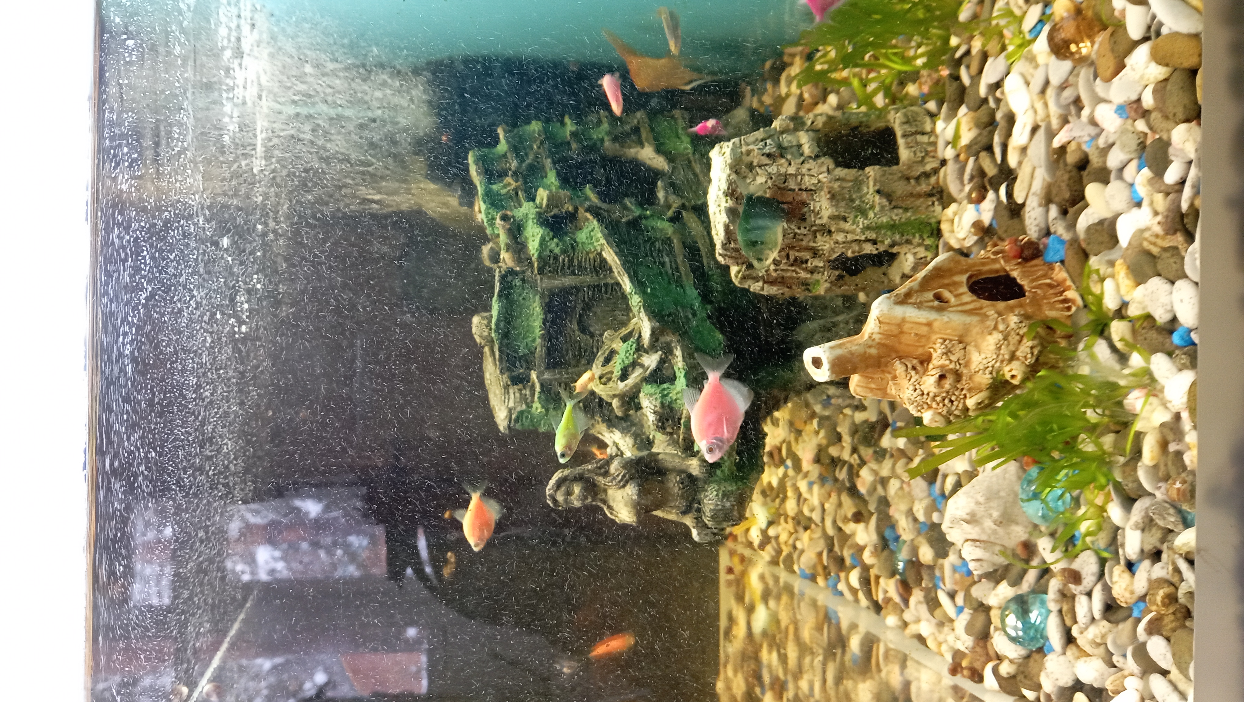 Фото Усадьба Жемчужная