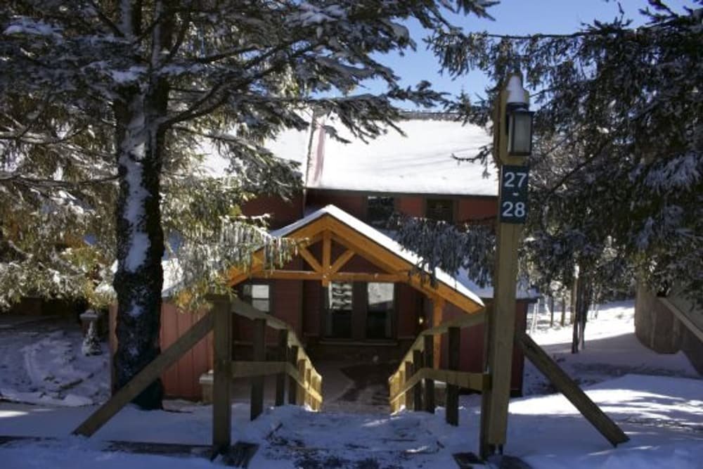 Фото Loggers Run