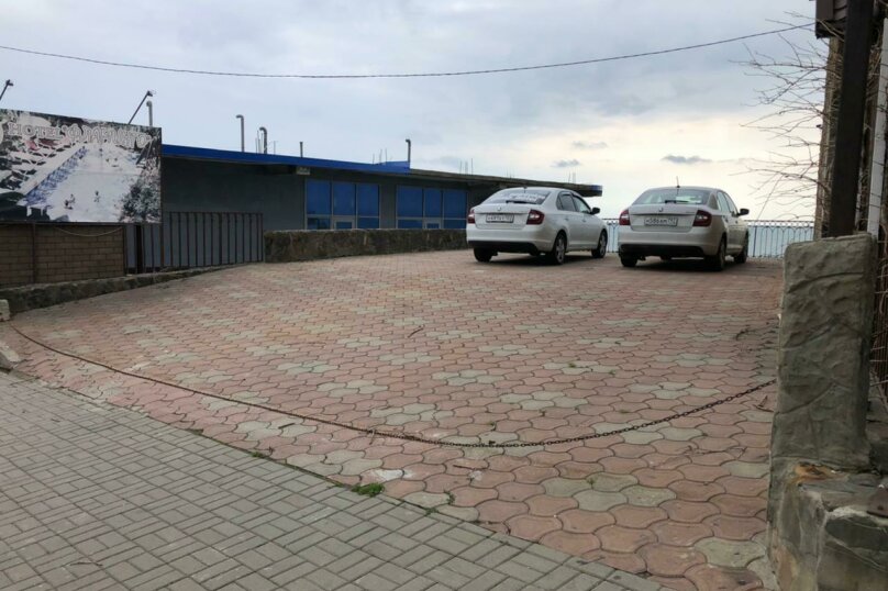 Фото Фламинго