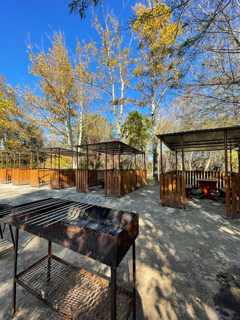 Фото Алая Роза