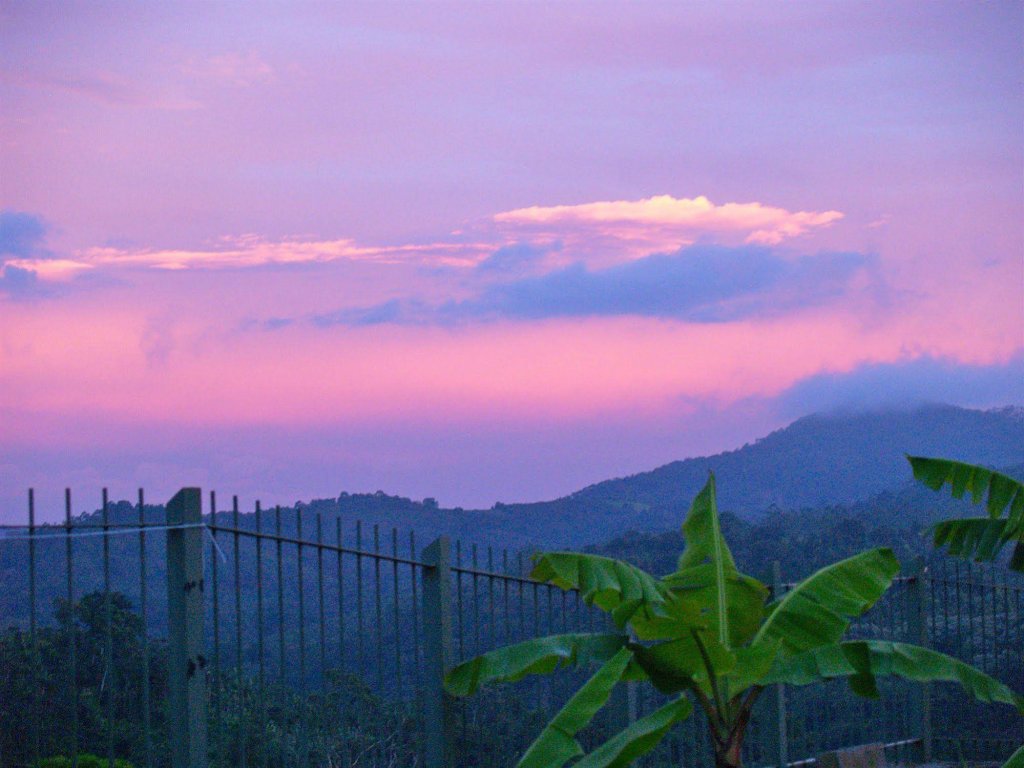 Фото Casa Amanecer Bed & Breakfast