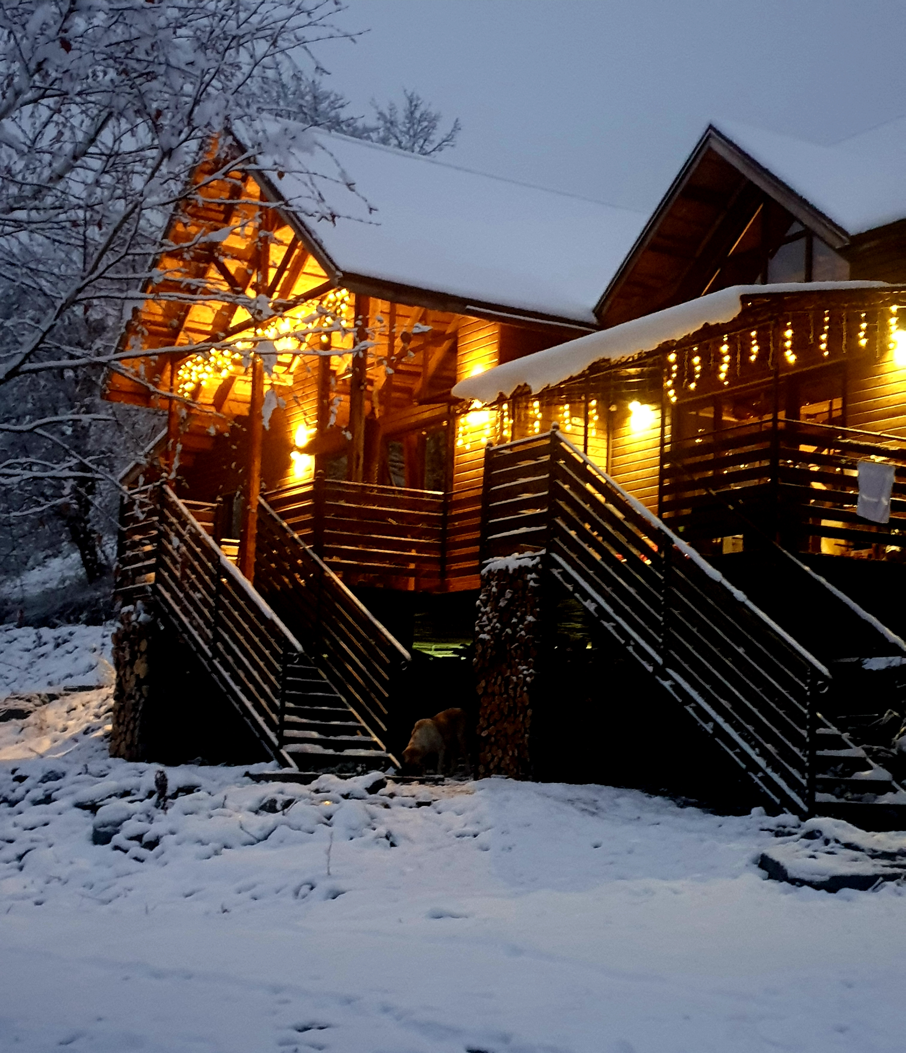 Фото ПихтаHouse