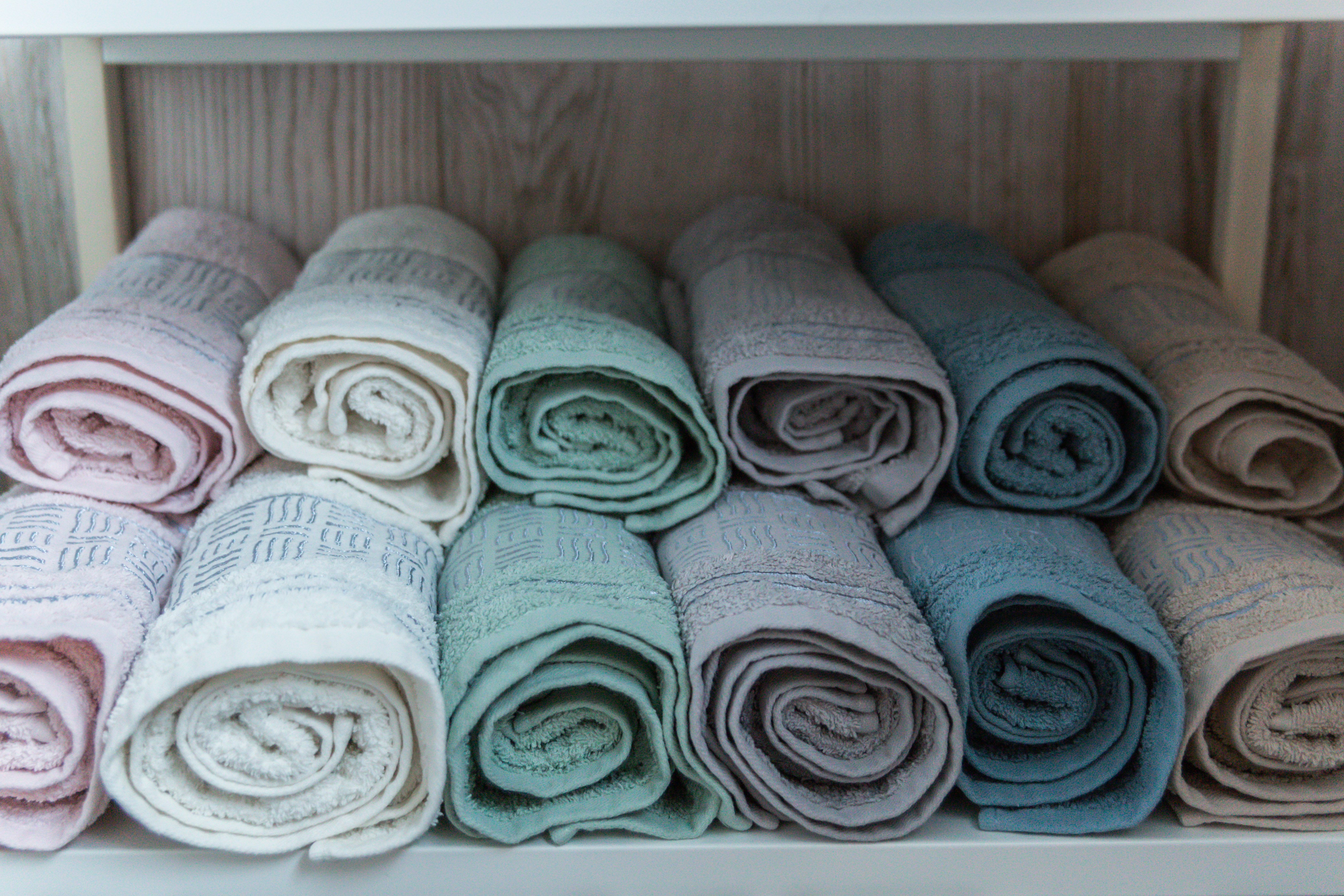 Фото Синяя синица