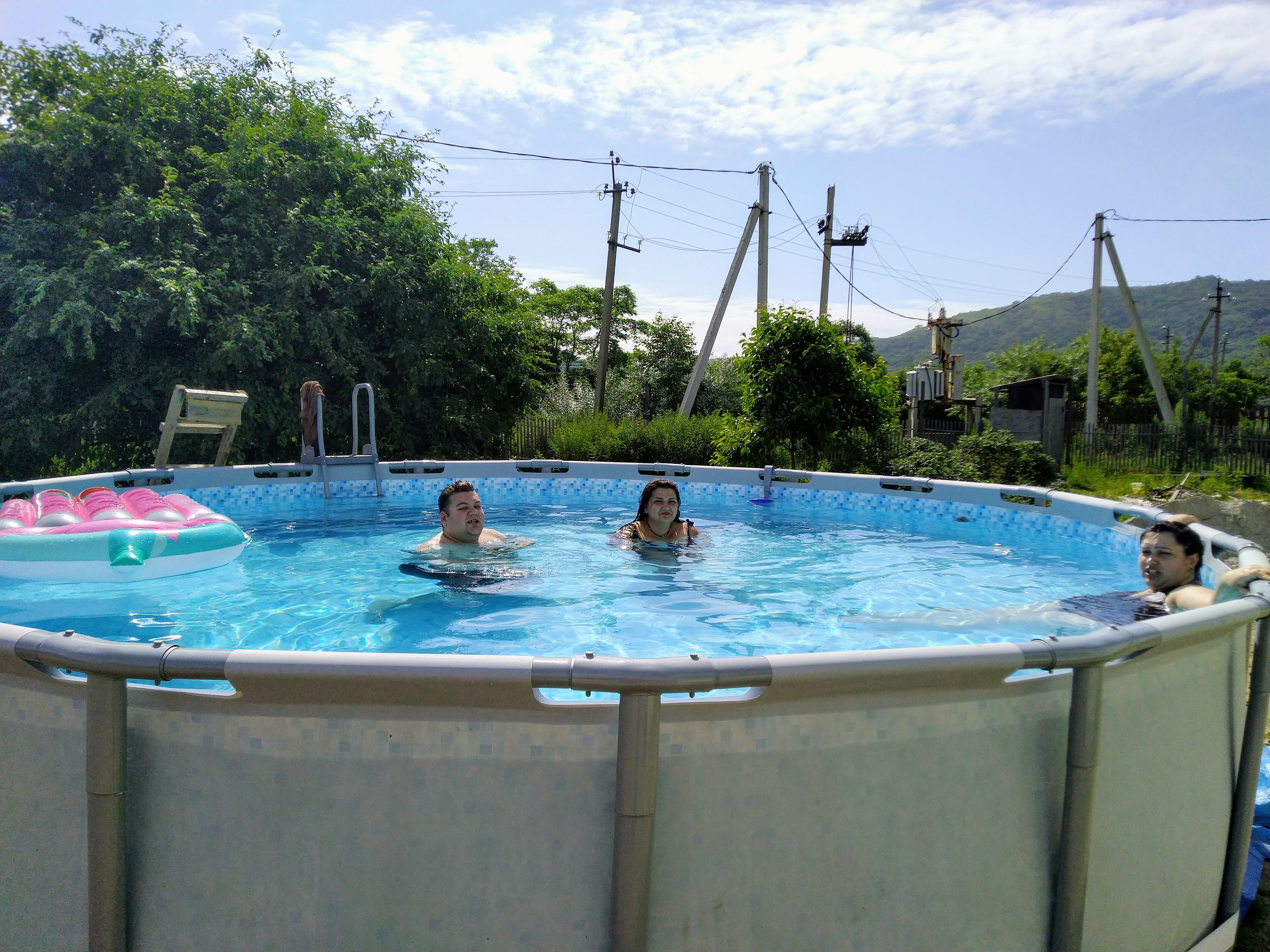 Фото Ромашка-Витязь