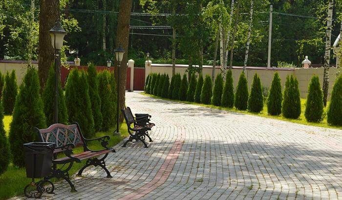 Фото Золотая осень