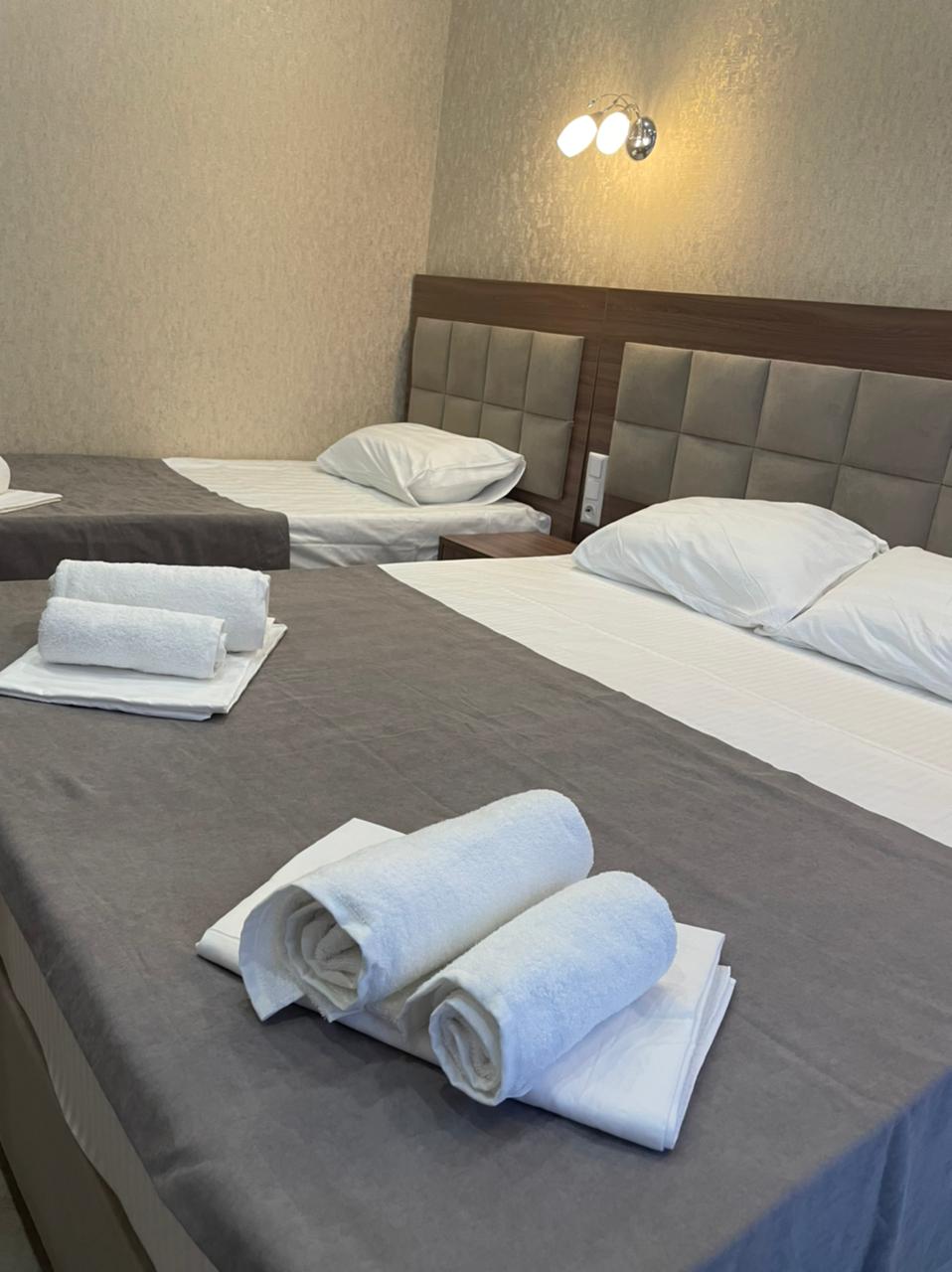 Фото Артика