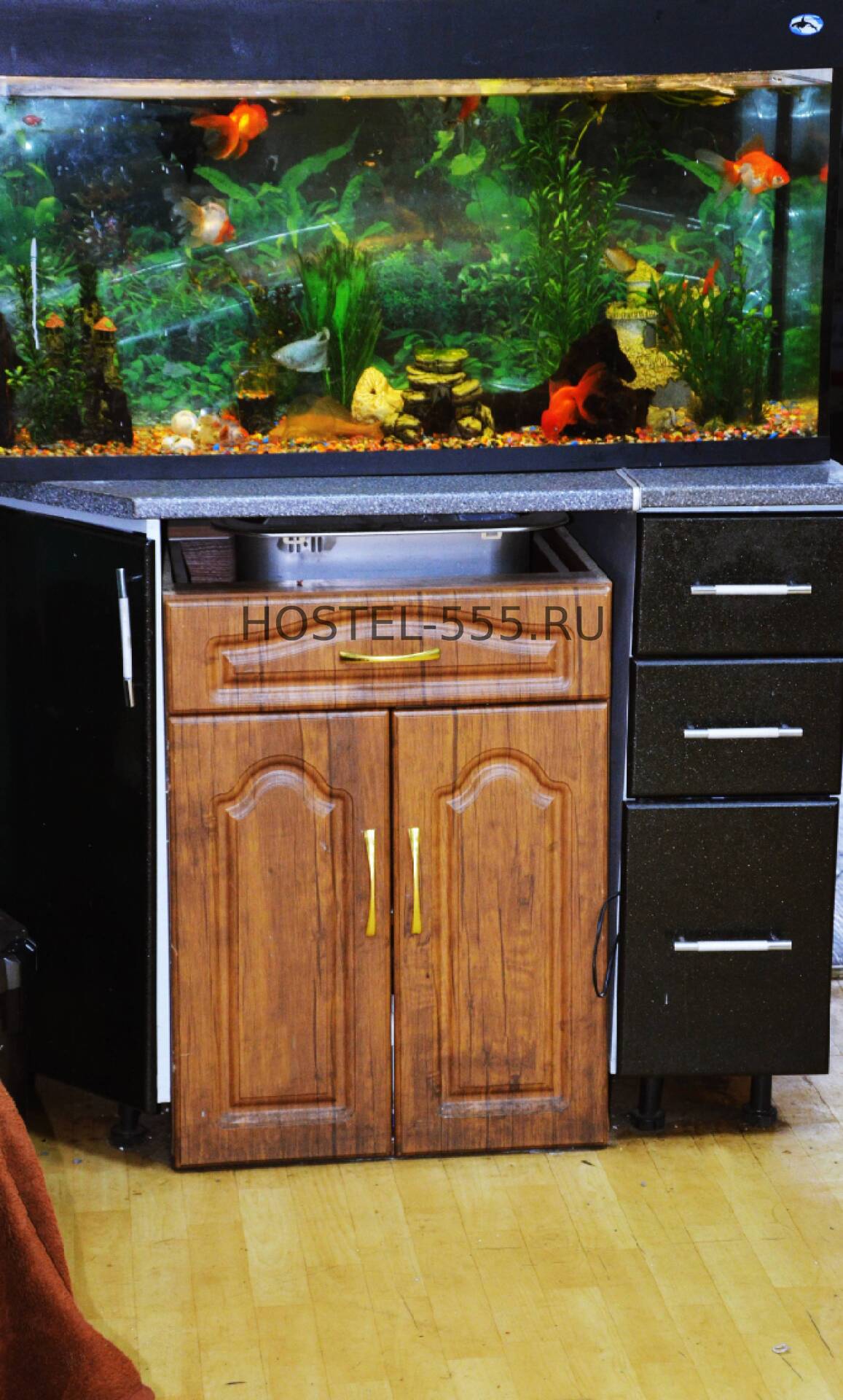 Фото Хостел-555