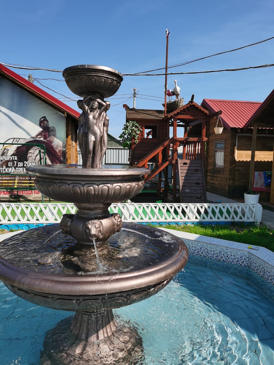 Фото Лазурное Яровое