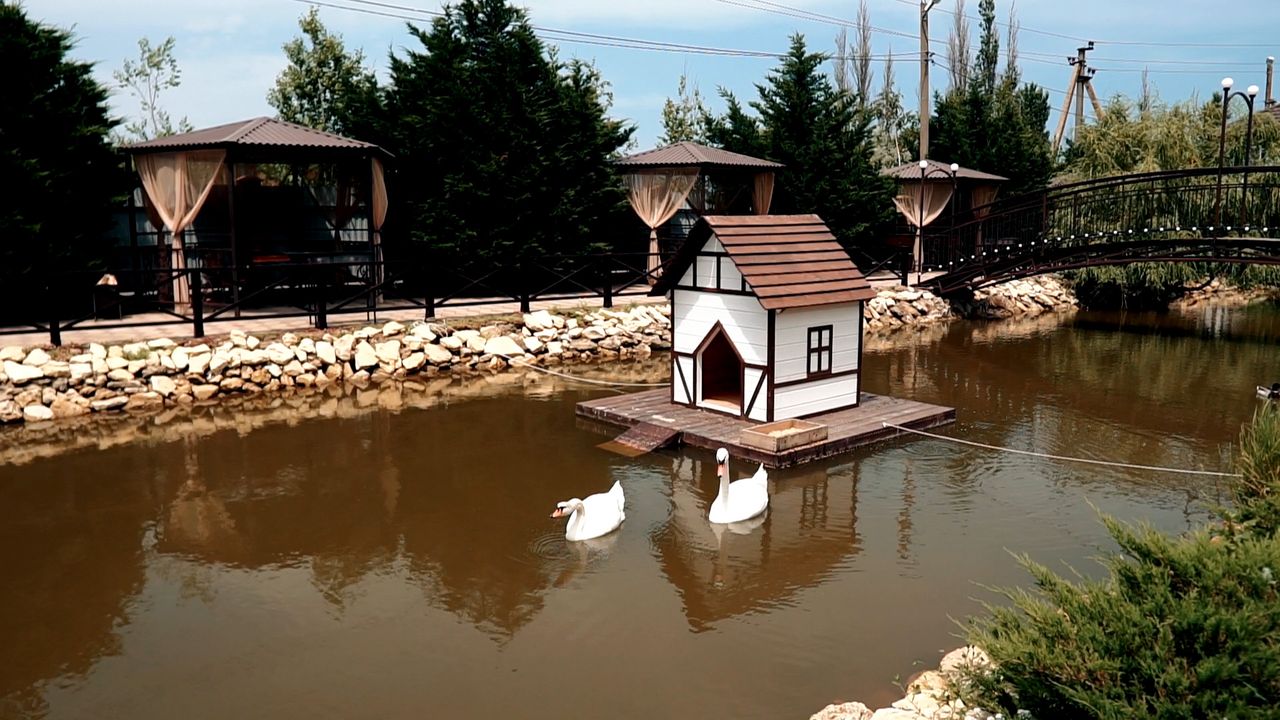 Фото Альтаир