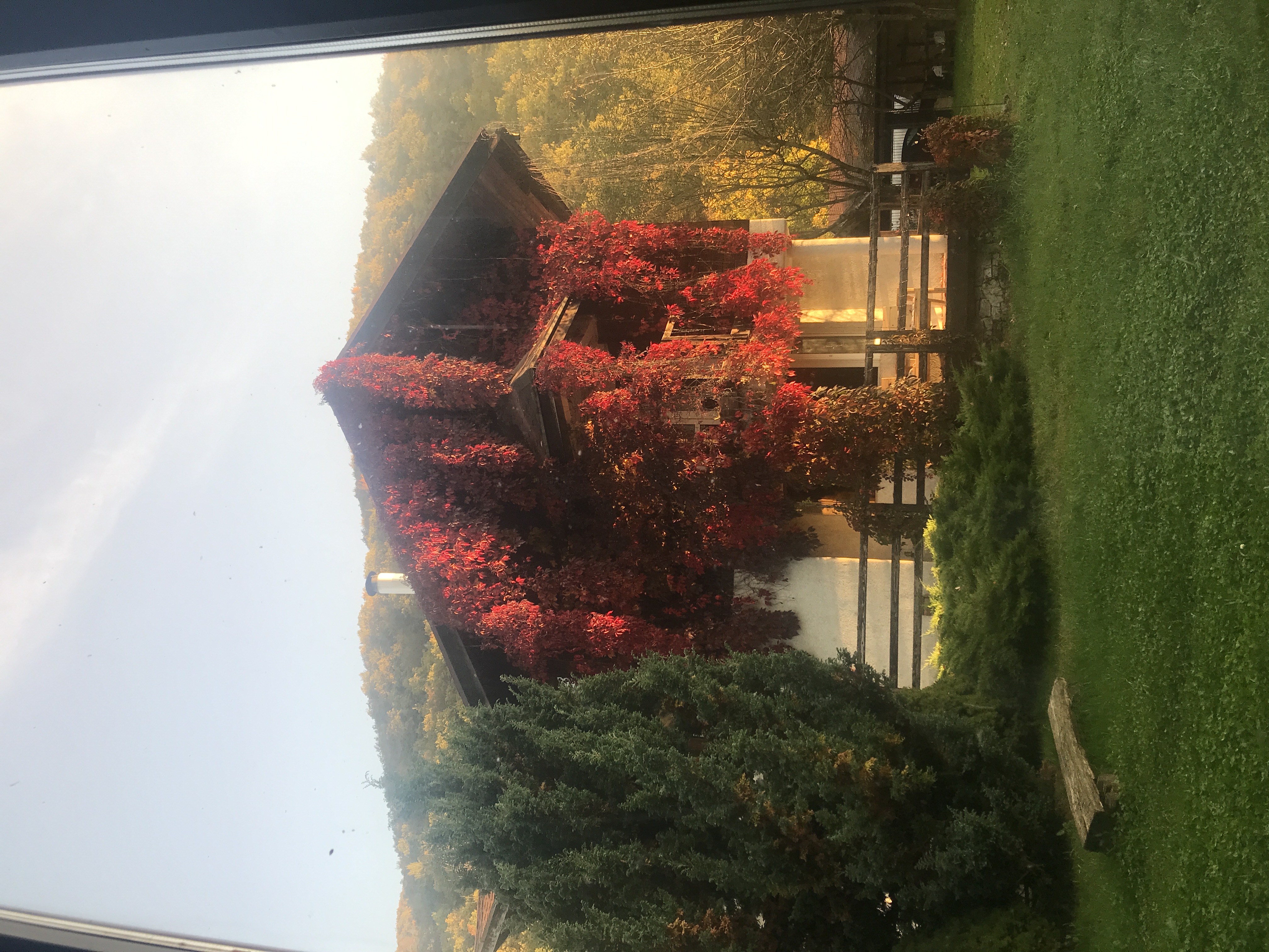 Фото Дом Тере