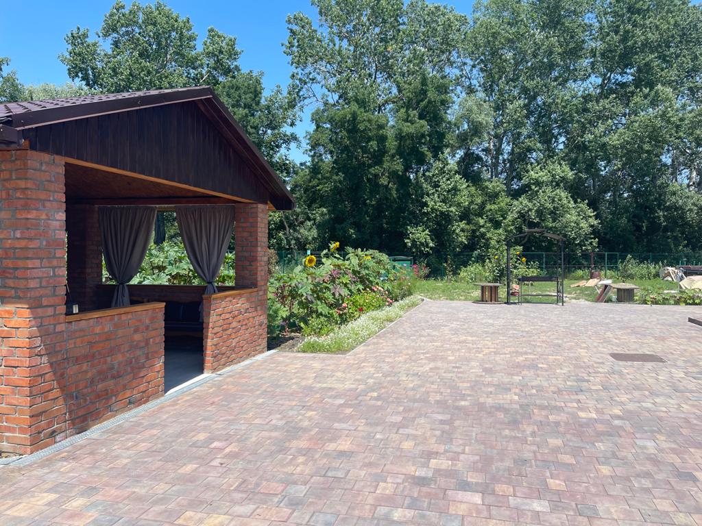 Фото Кипарис