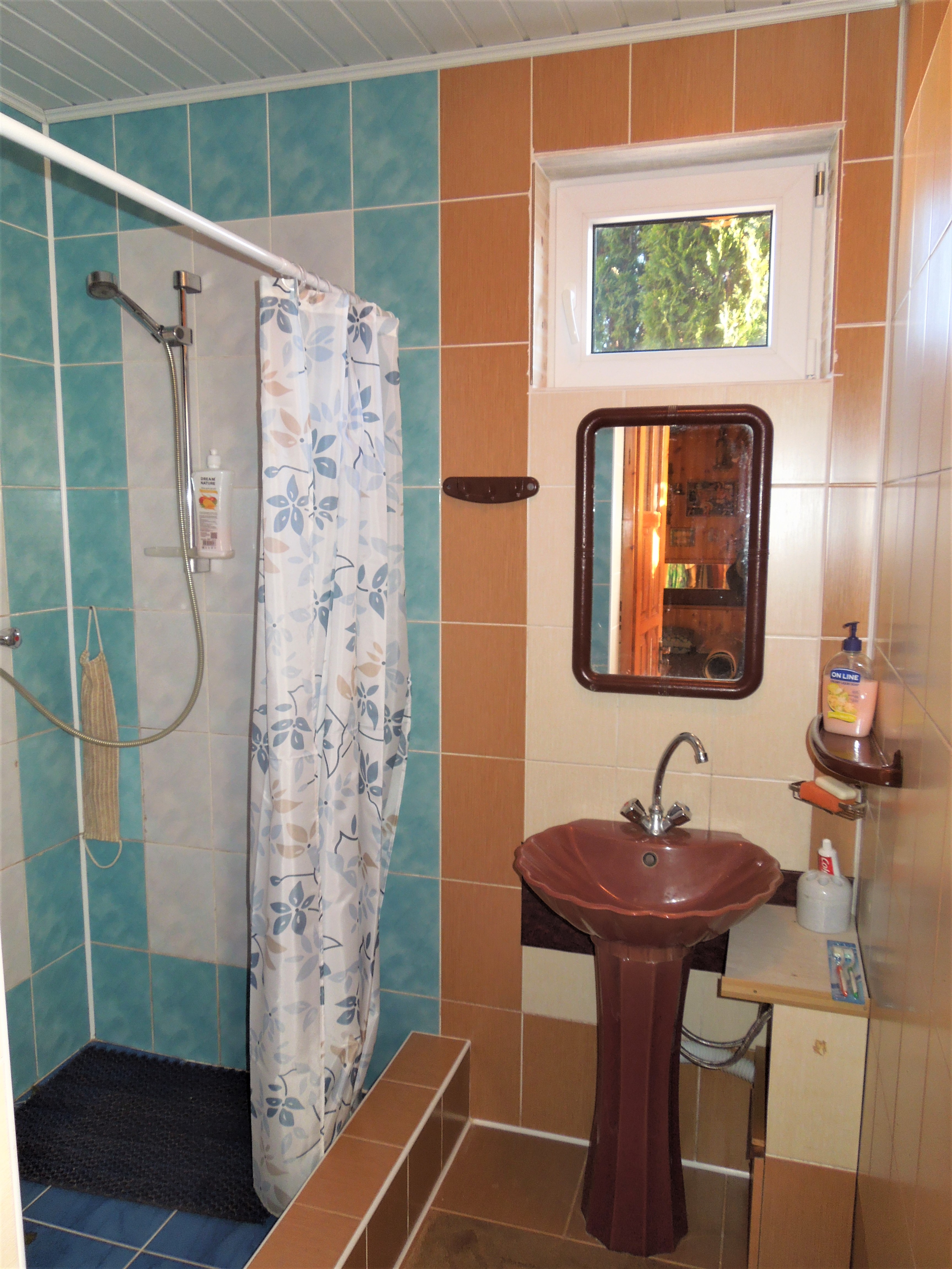 Фото Звезда