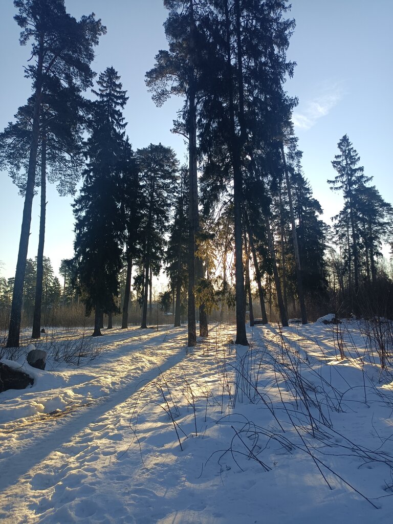 Kültür ve eğlence parkları Клязьминский парк, Puşkino, foto