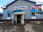 Lastochka (ulitsa Michurina, 10), grocery