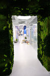 Mossplants (Moscow, Perevedenovsky Lane, 18), paisajismo de locales