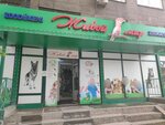 Zhivoj mir (Shevchenko Street, 112), pet shop