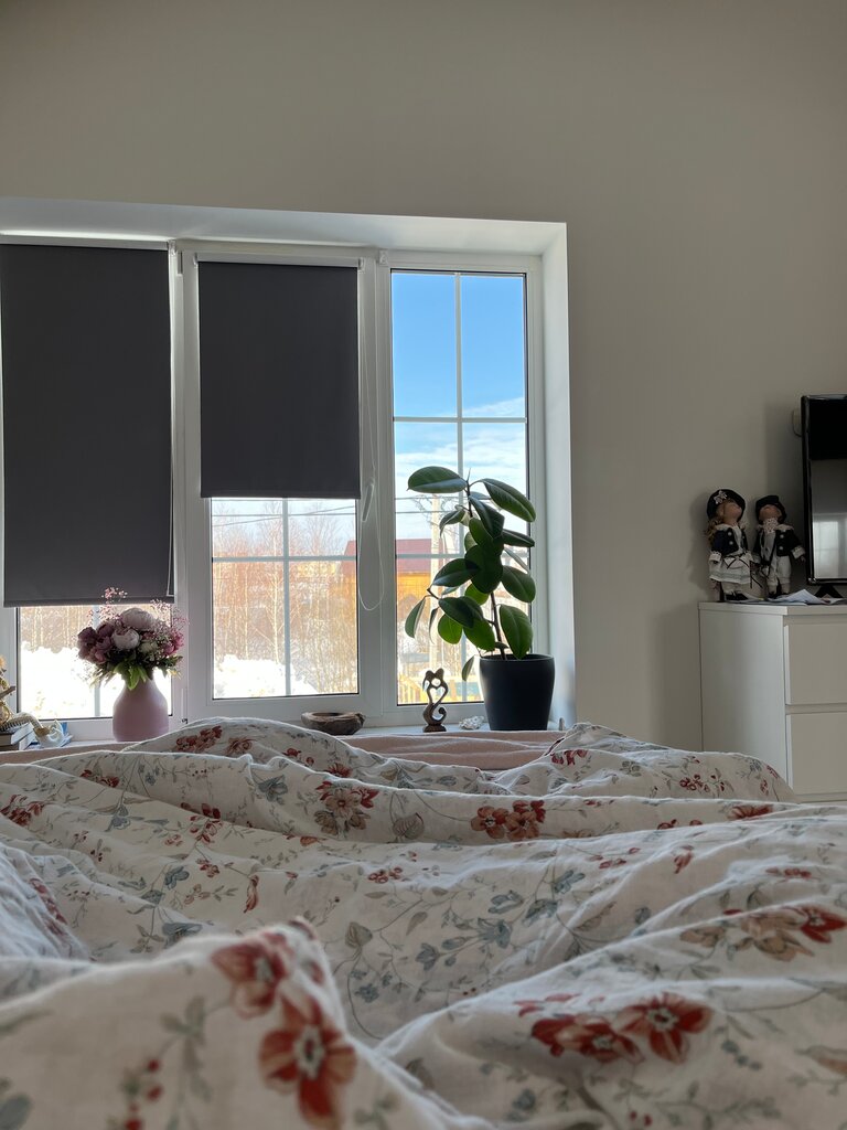 Windows EcoDom, Kazan, photo