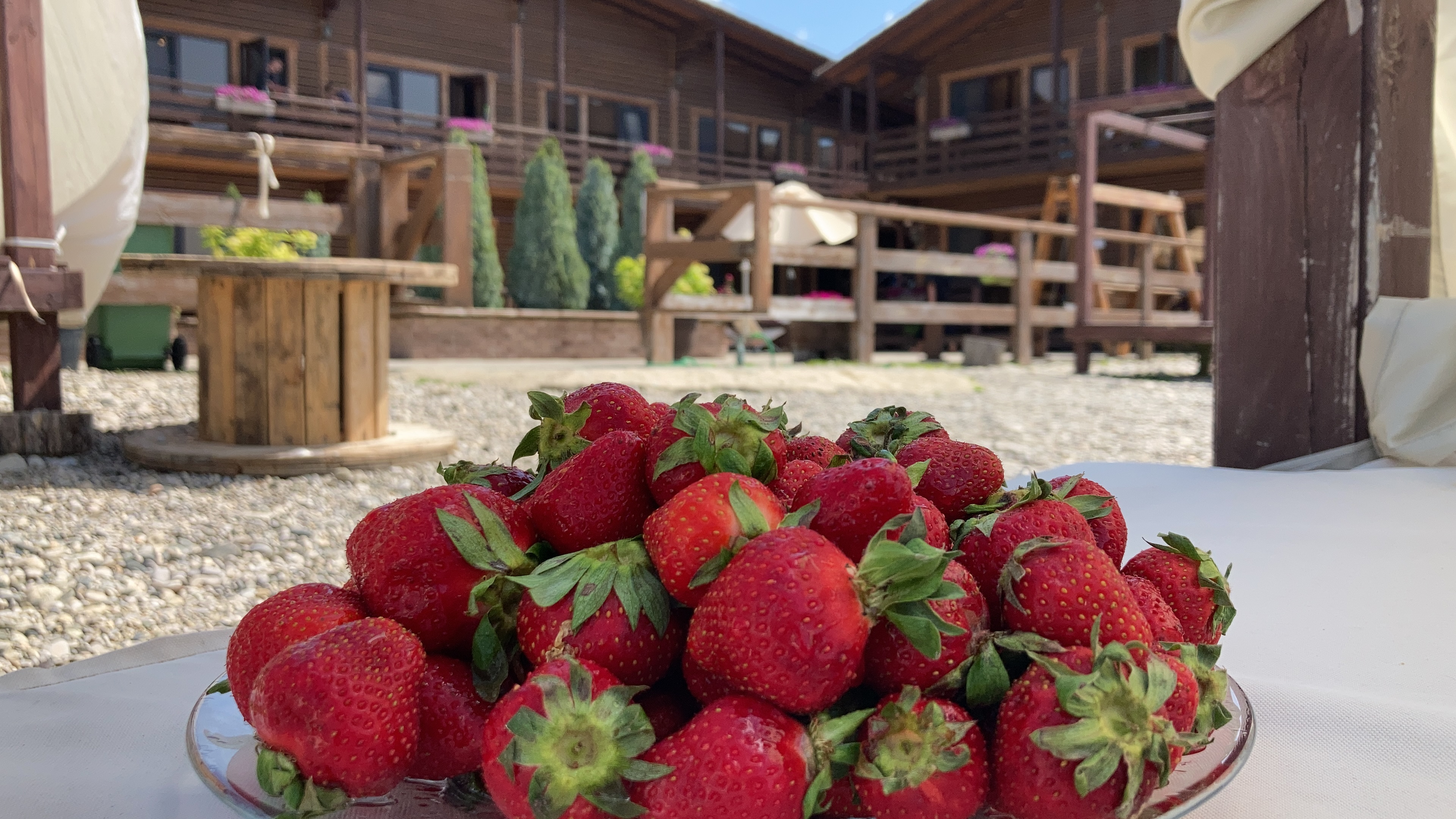 Фото Аламыс