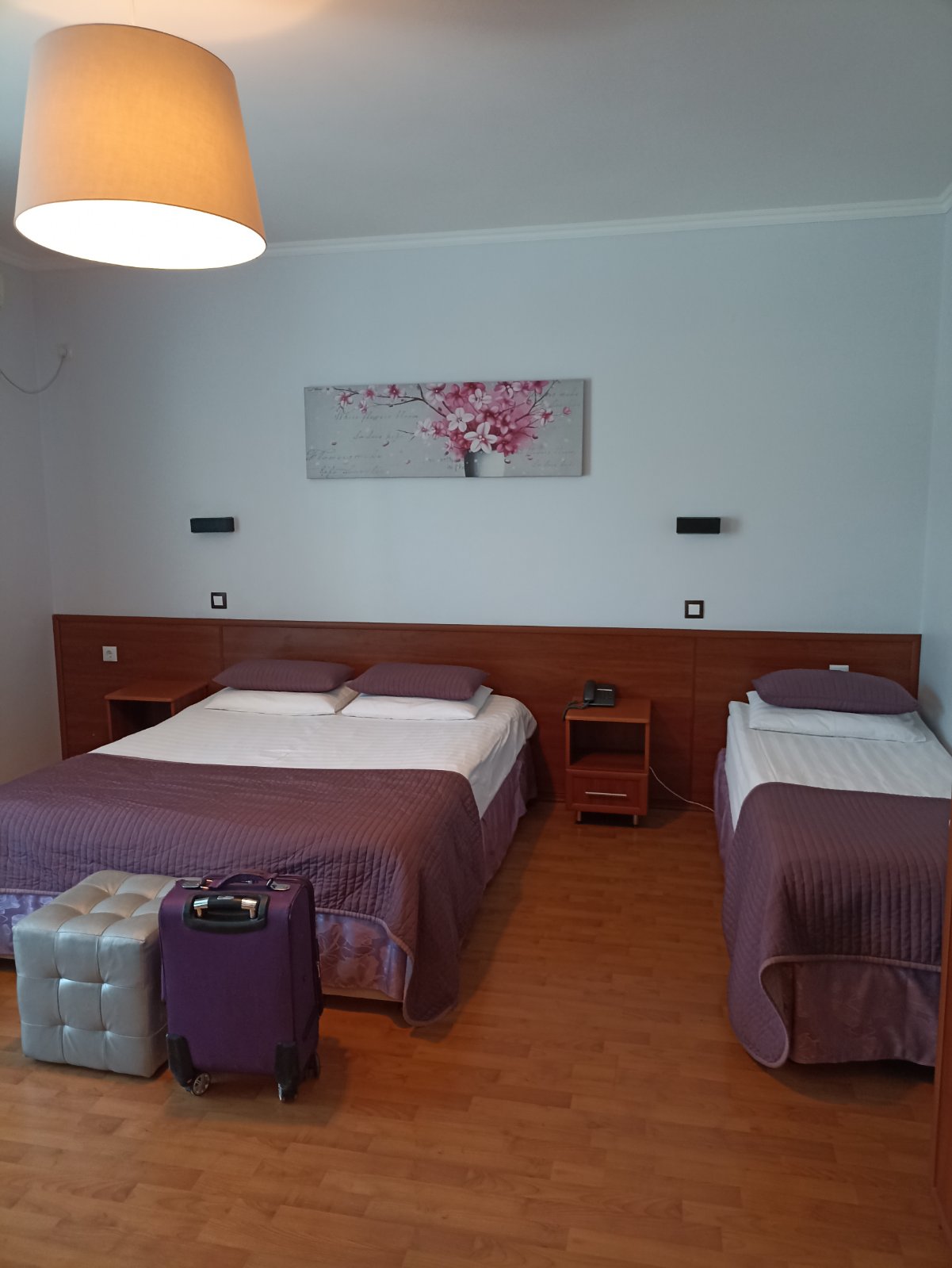 Фото Аррива