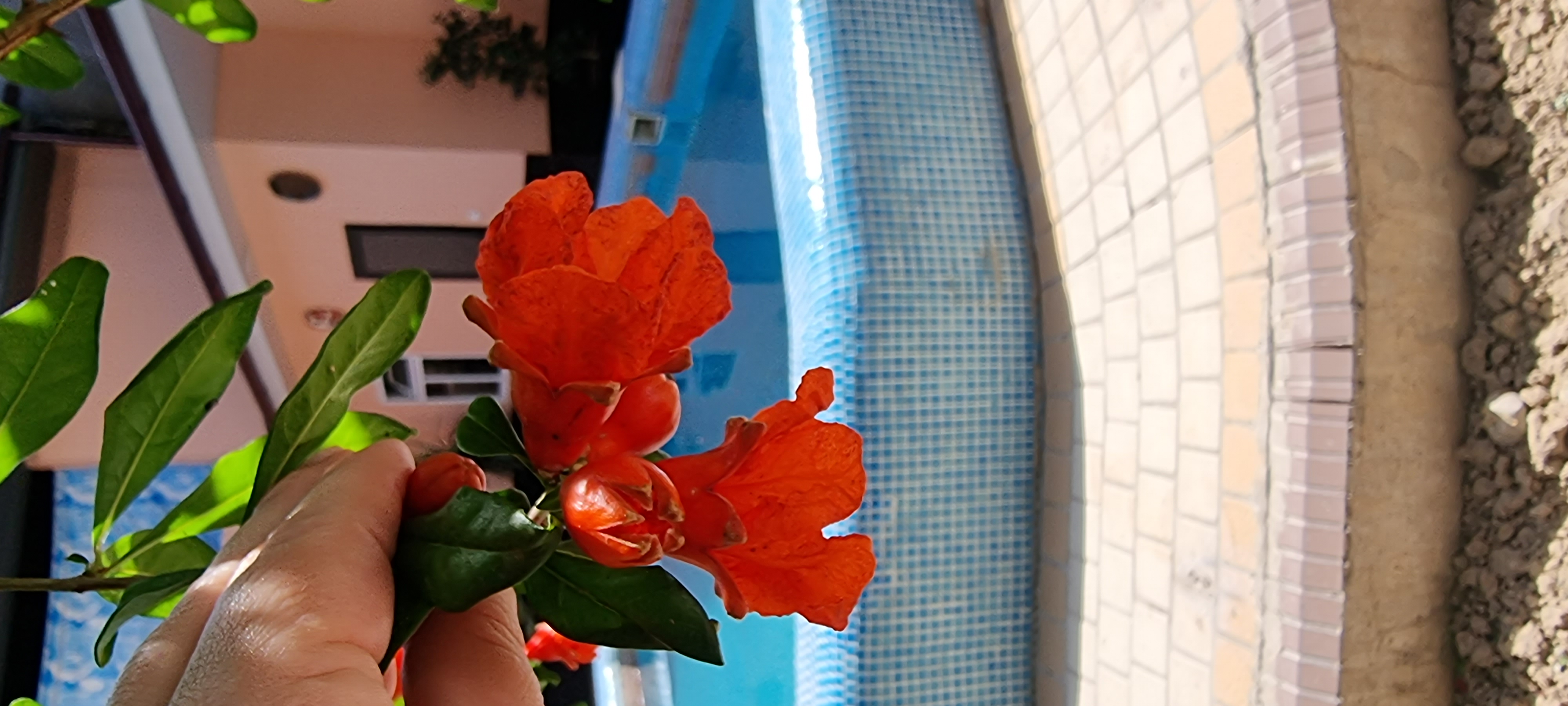 Фото Art House Hotel