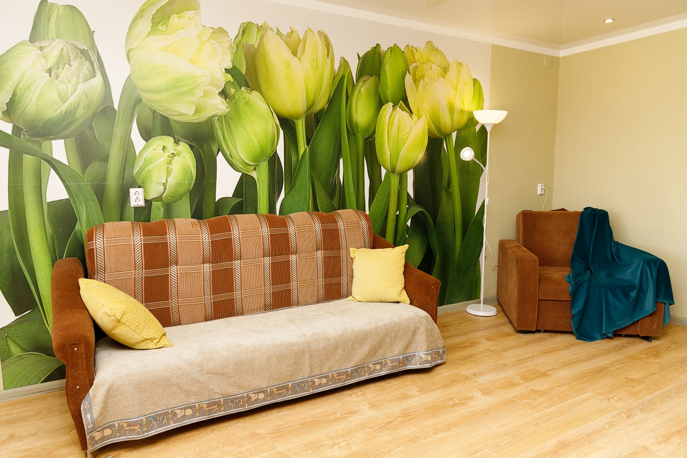 Фото Декабрист