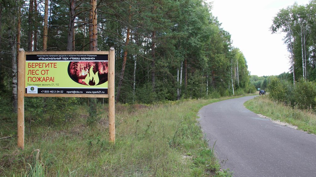 В Рязани на улице Каширина планируют открыть большой пункт вакцинации - Новости 