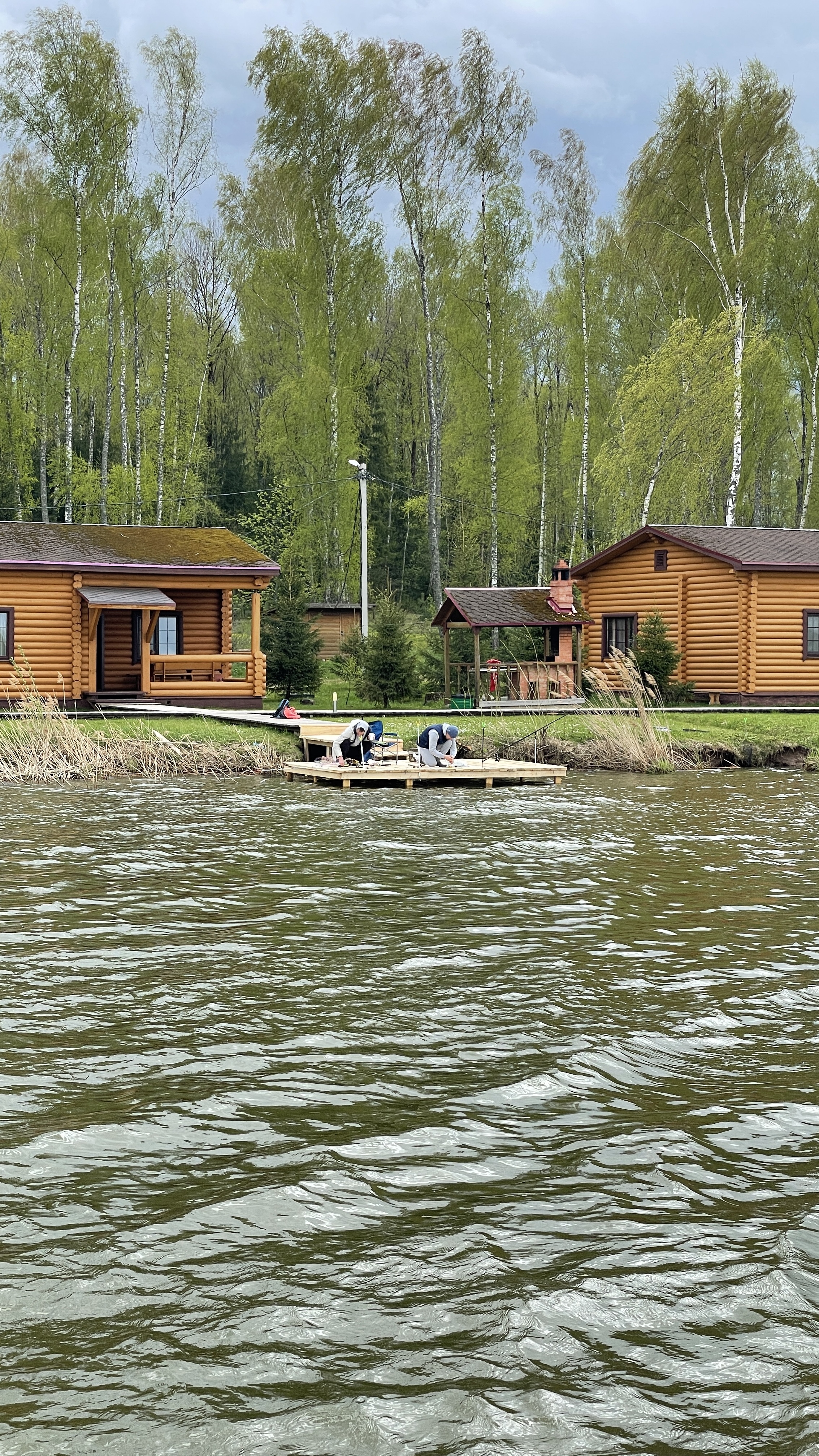 Фото Белая цапля