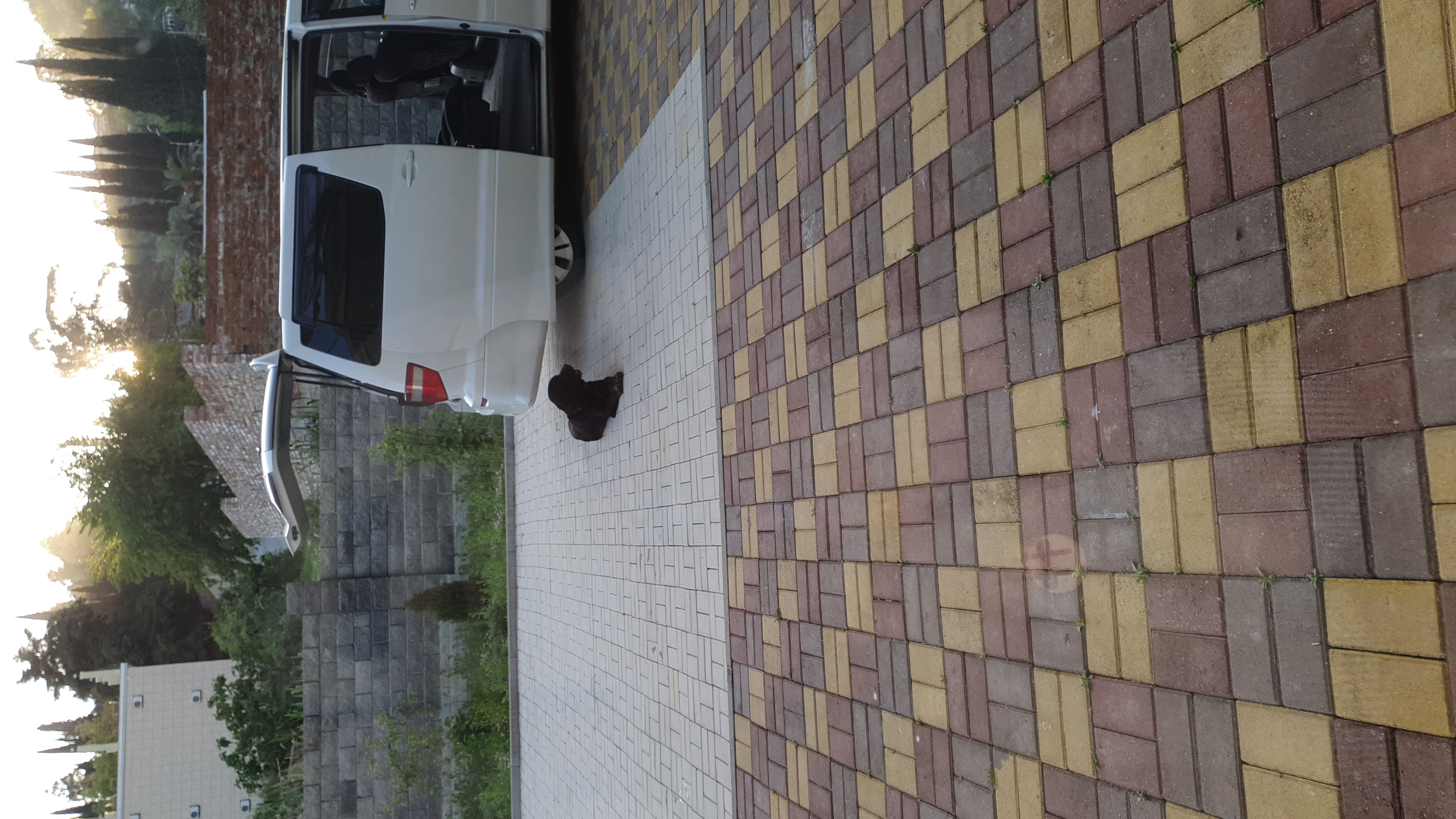 Фото Родина