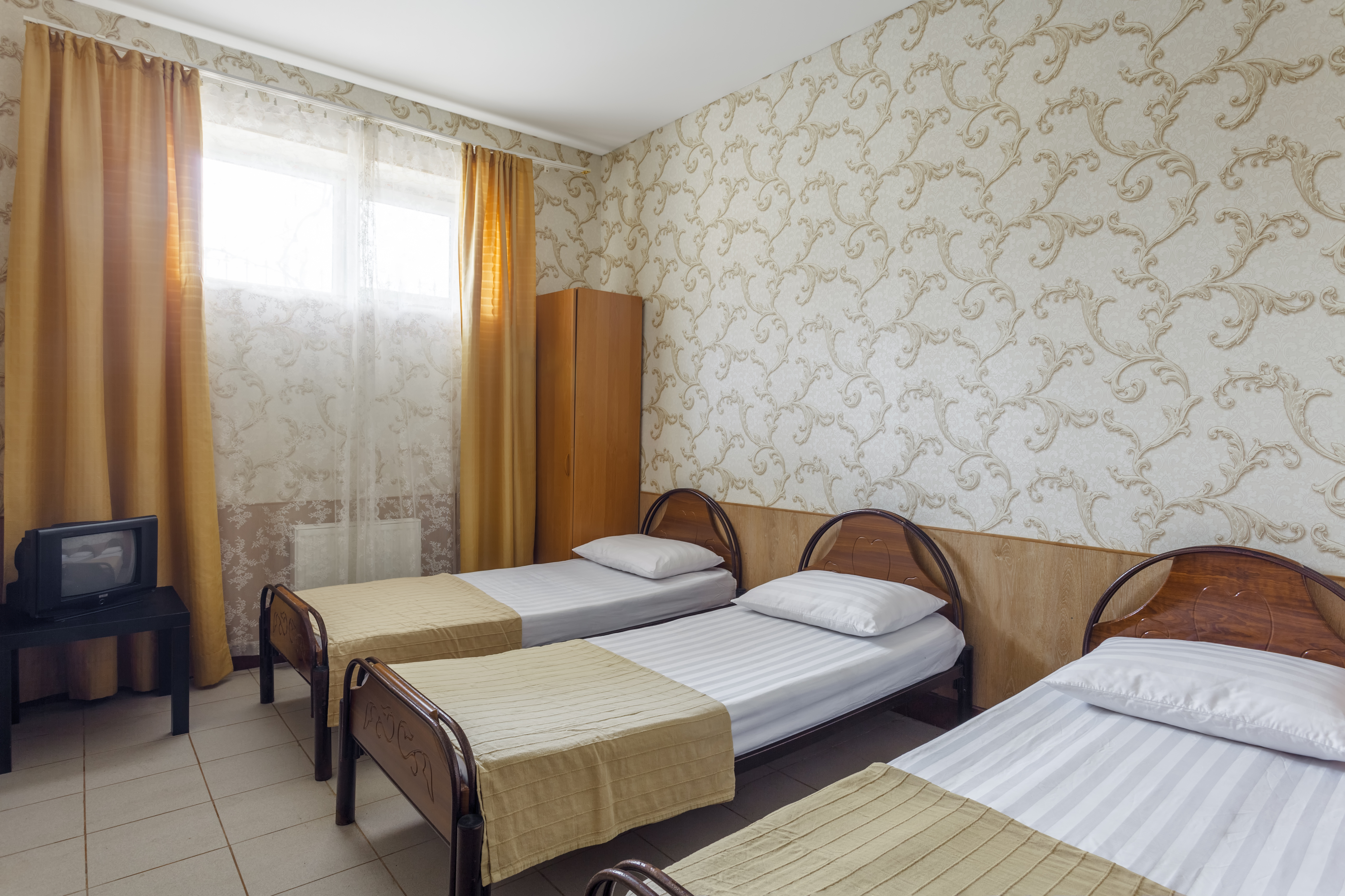 Фото Магнолия