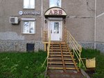 Clever Сat (Gashkova Street, 17) ، متجر للحيوانات الأليفة