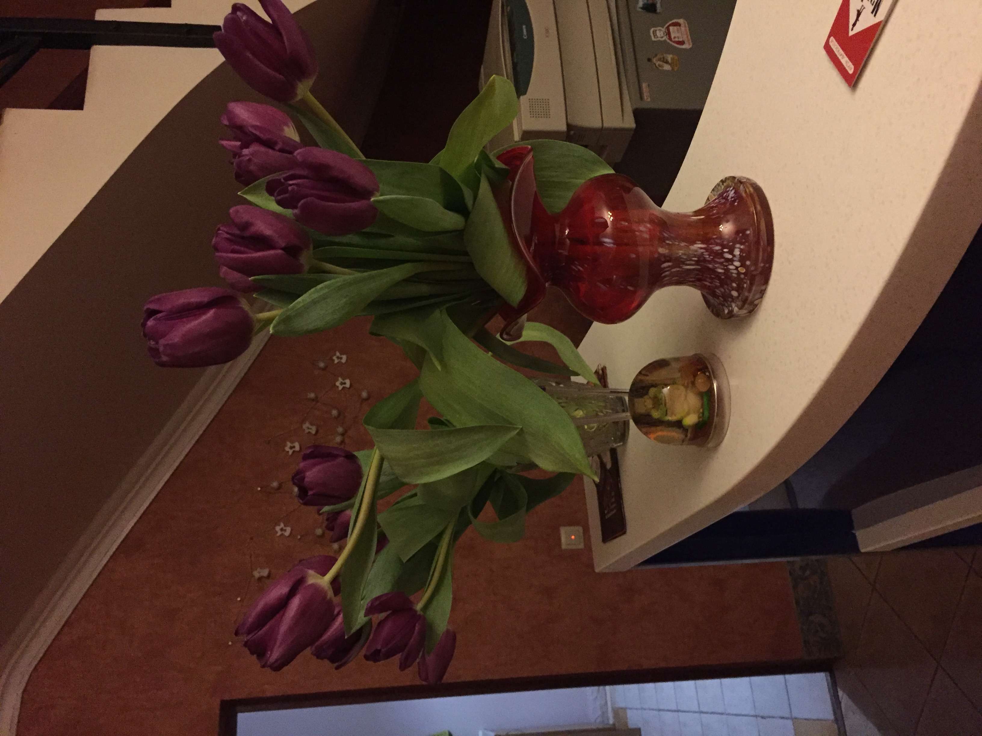 Фото Маркиз