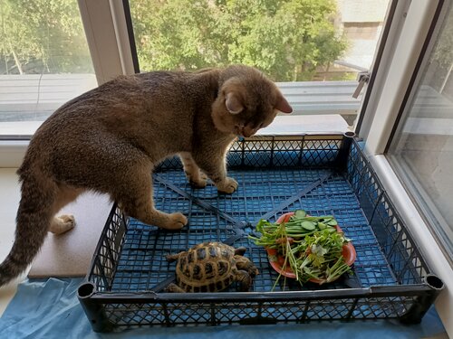 Ер адаммен жыныстық қатынас және химия