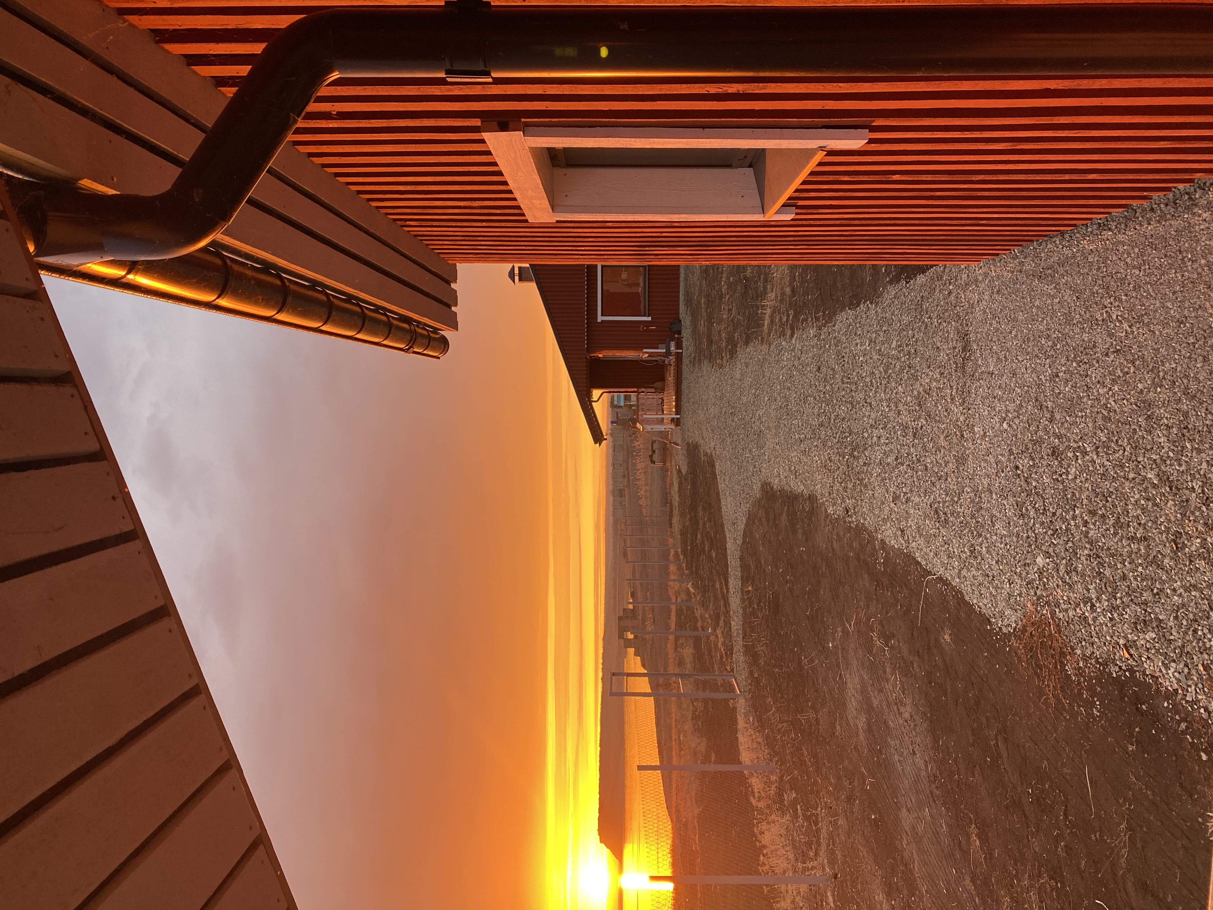 Фото Золотое