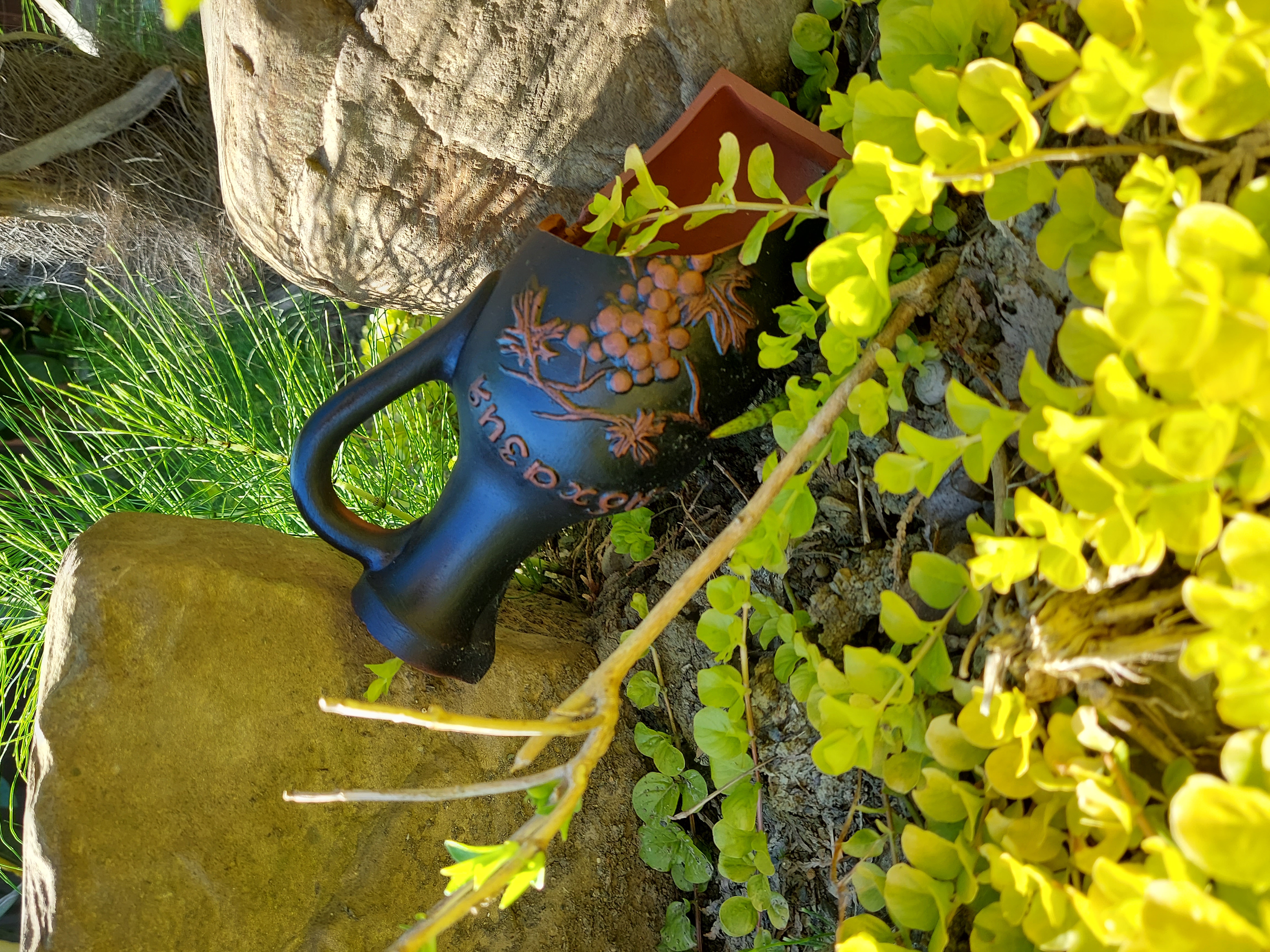 Фото Дом Солнца