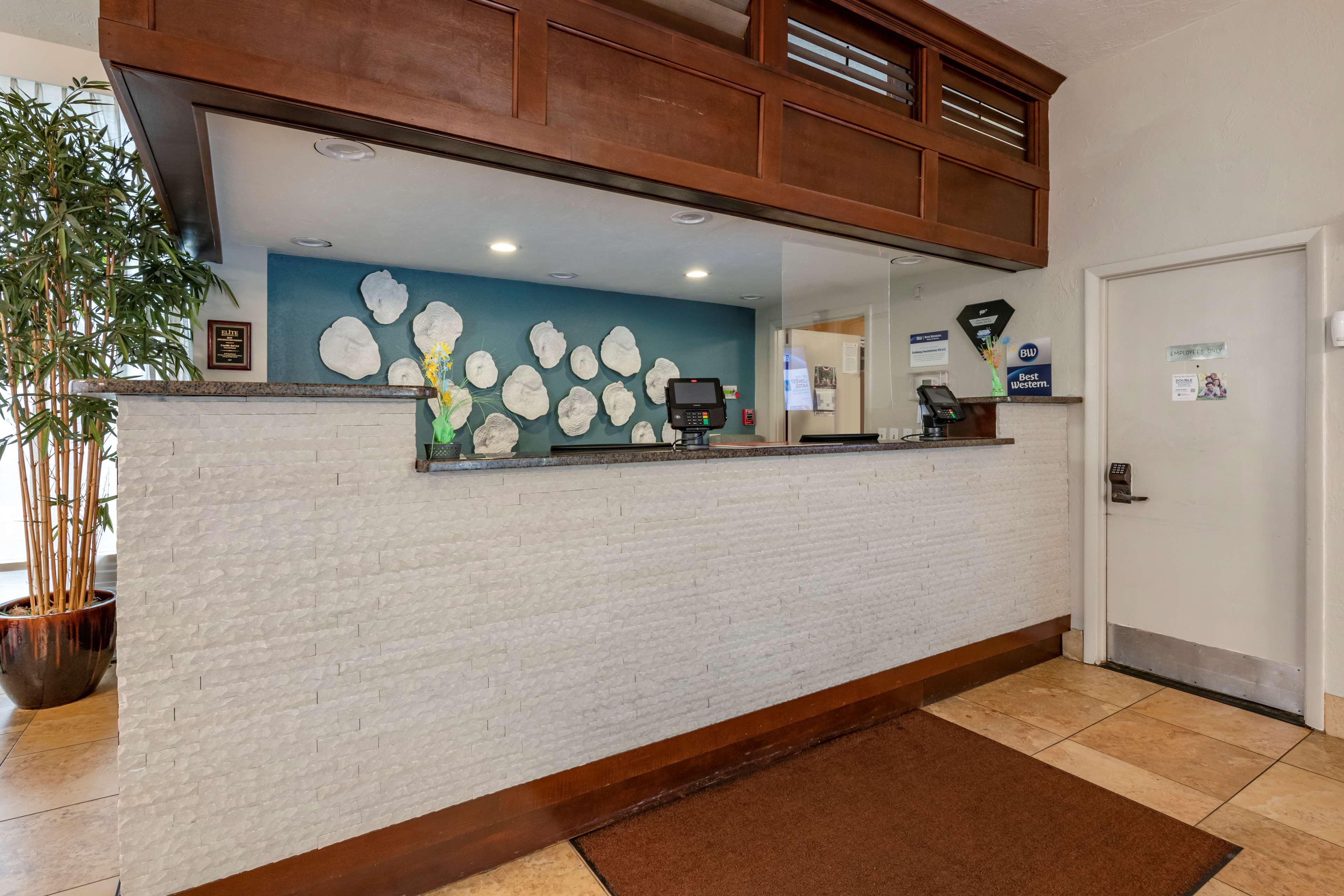 Фото Best Western Castillo Del Sol