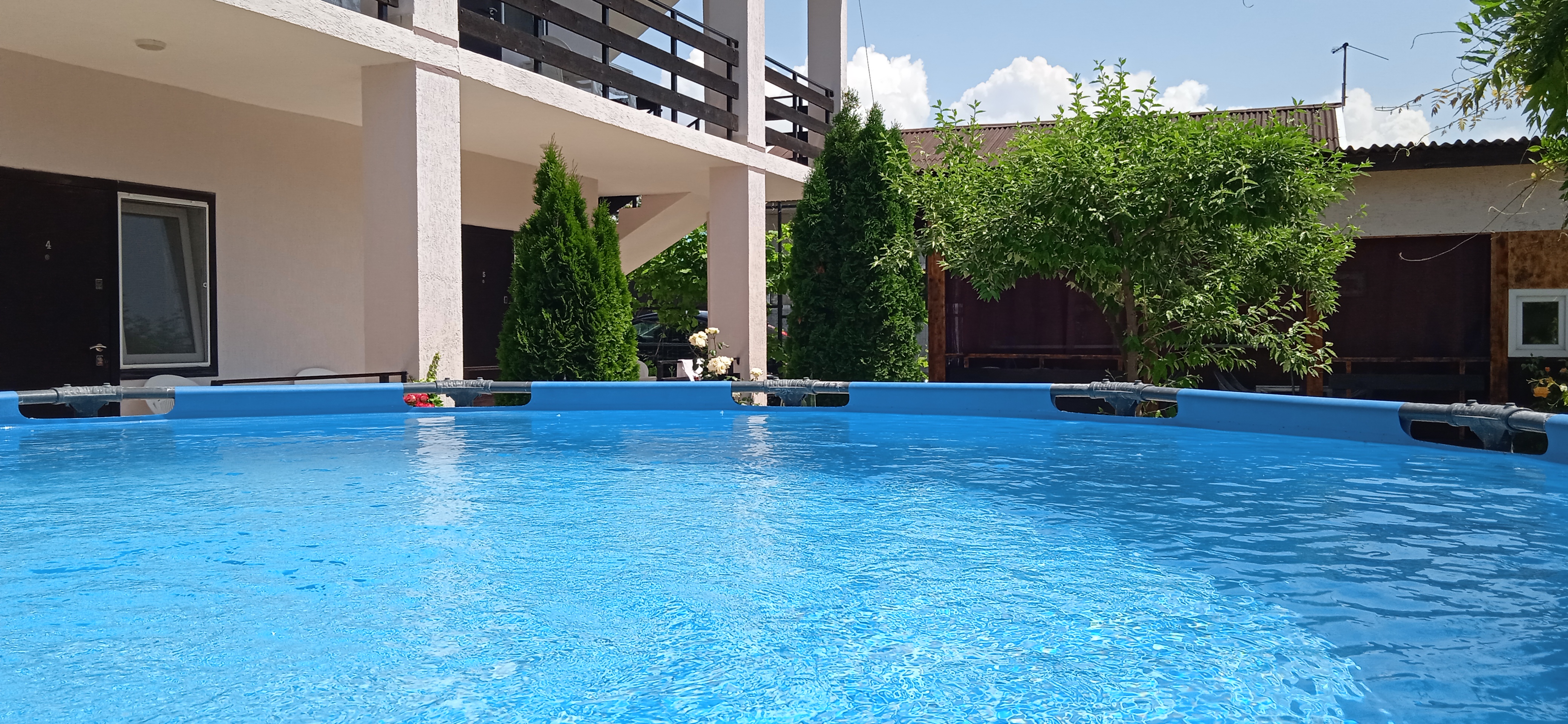 Фото Пчелка