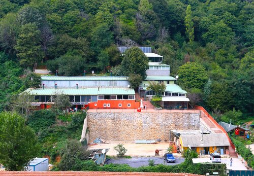 Pet otel Greendog Köpek Çiftliği, Beykoz, foto